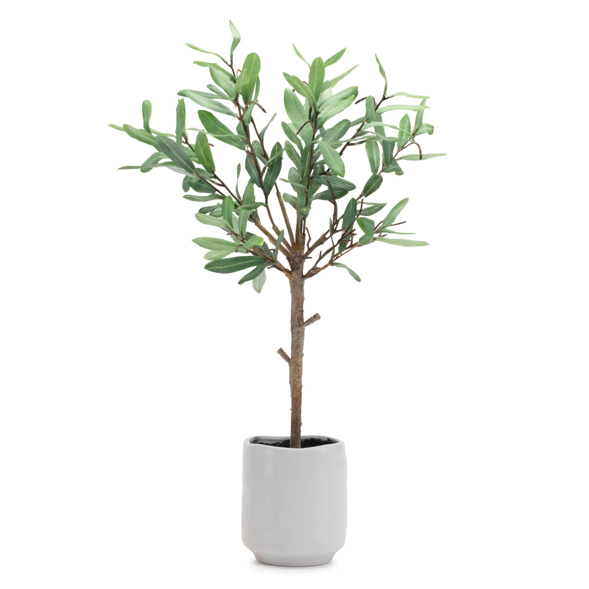 21.5&#x22; Potted Olive Leaf Topiary