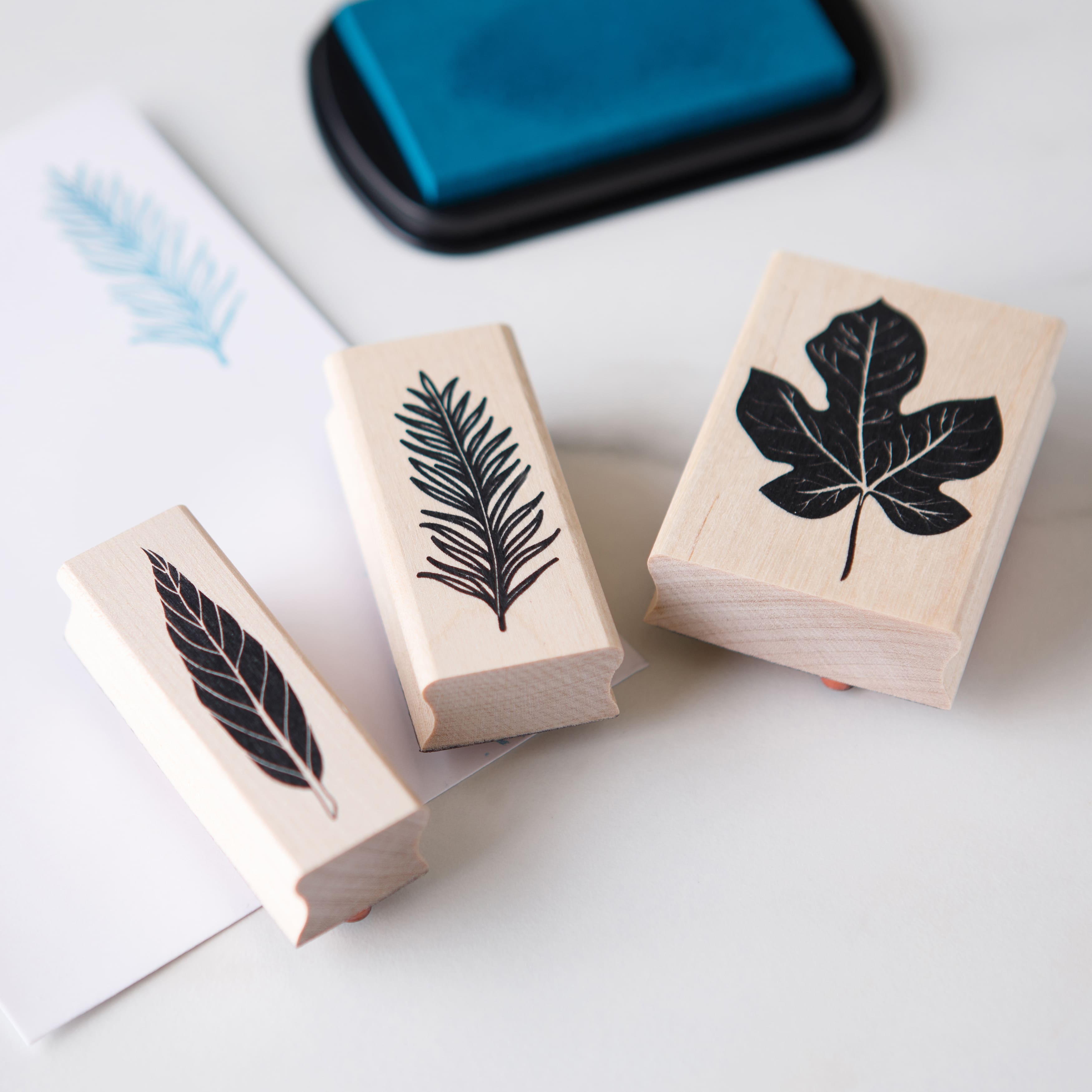 6 Pack: Leaf Stamp Set by Recollections™
