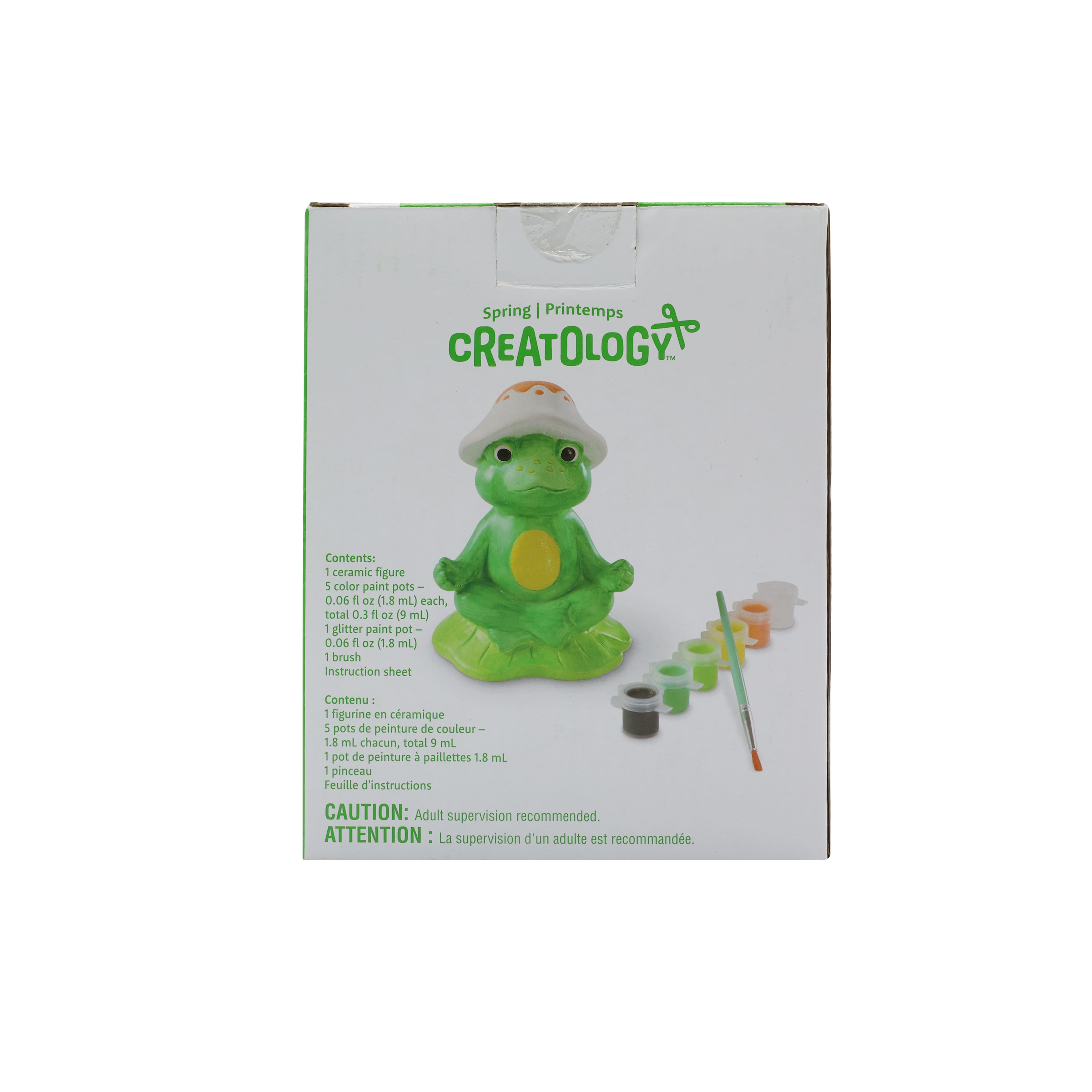 Create Your Own 3D Ceramic Frog Kit by Creatology&#x2122;
