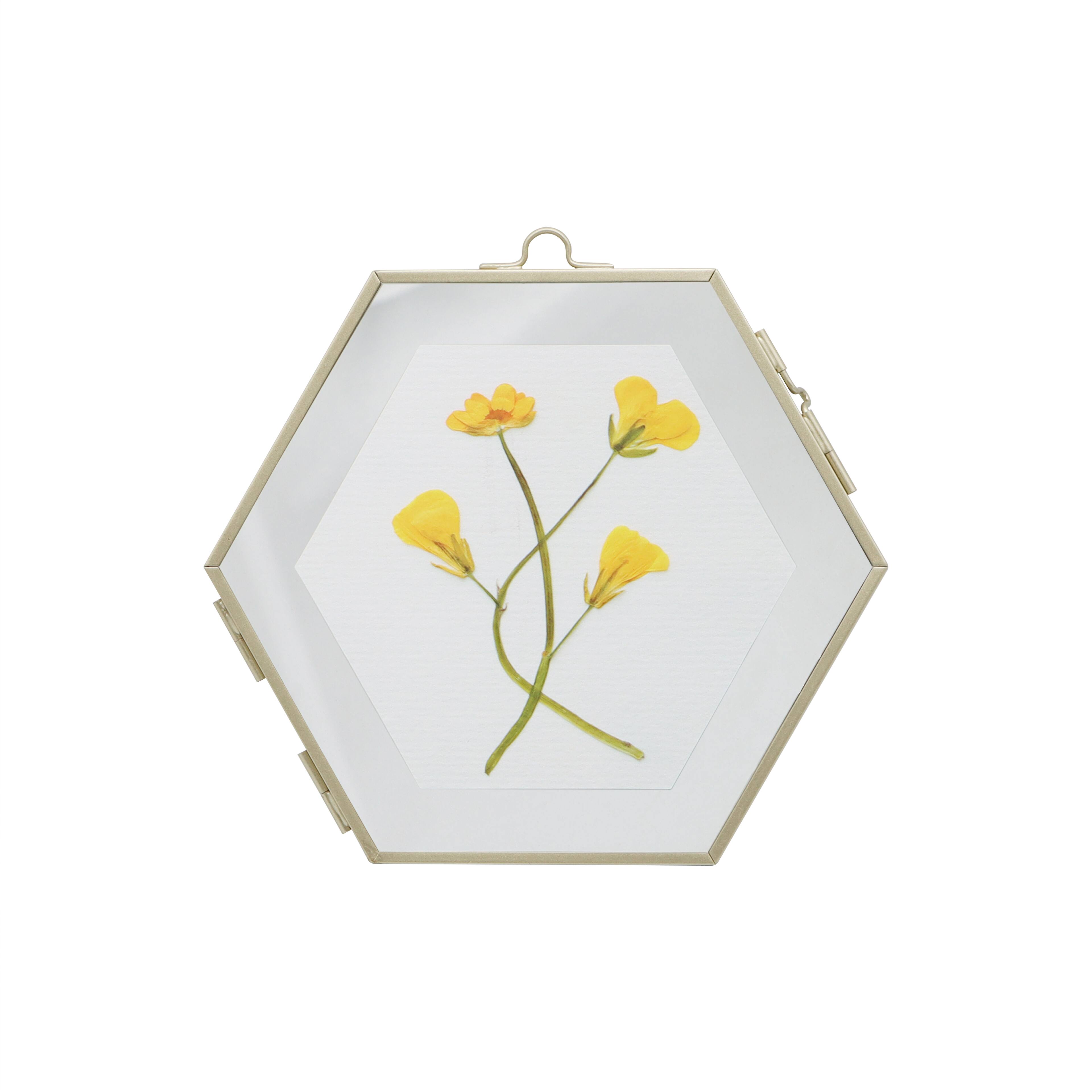 Small Gold Flowers Glass Hexagon Frame Accent by Ashland®