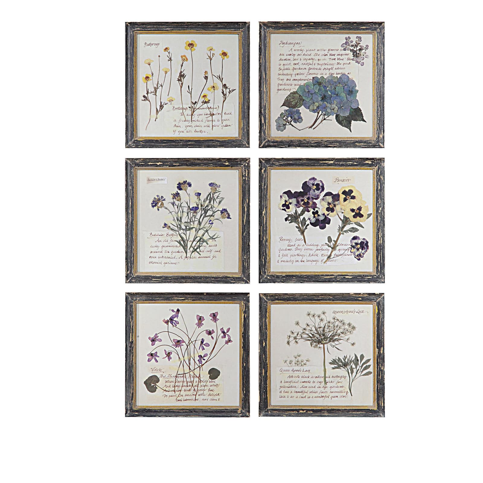 Floral Images Square Wood Framed Wall D&#xE9;cor Set