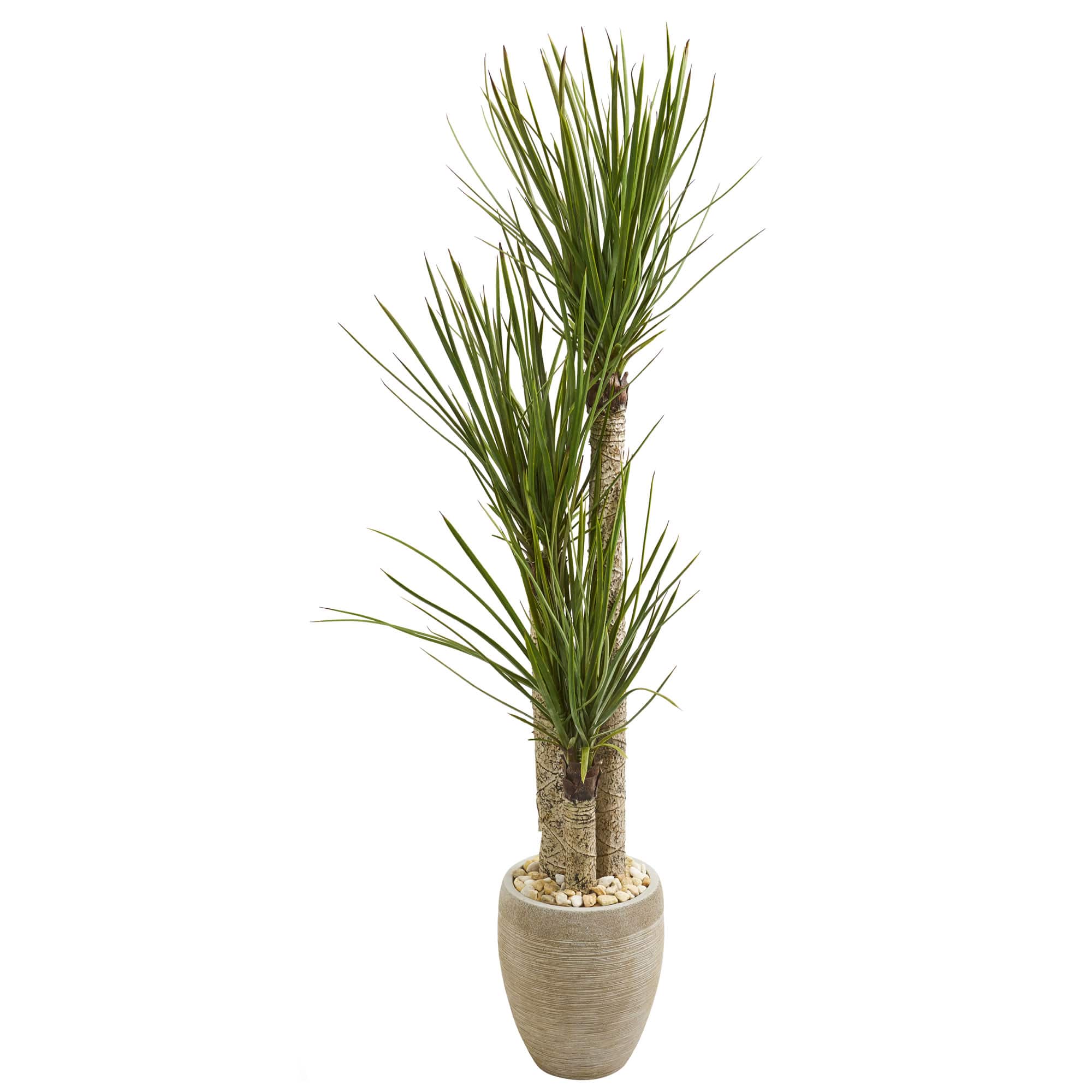 5ft. Yucca Tree In Sand Colored Planter