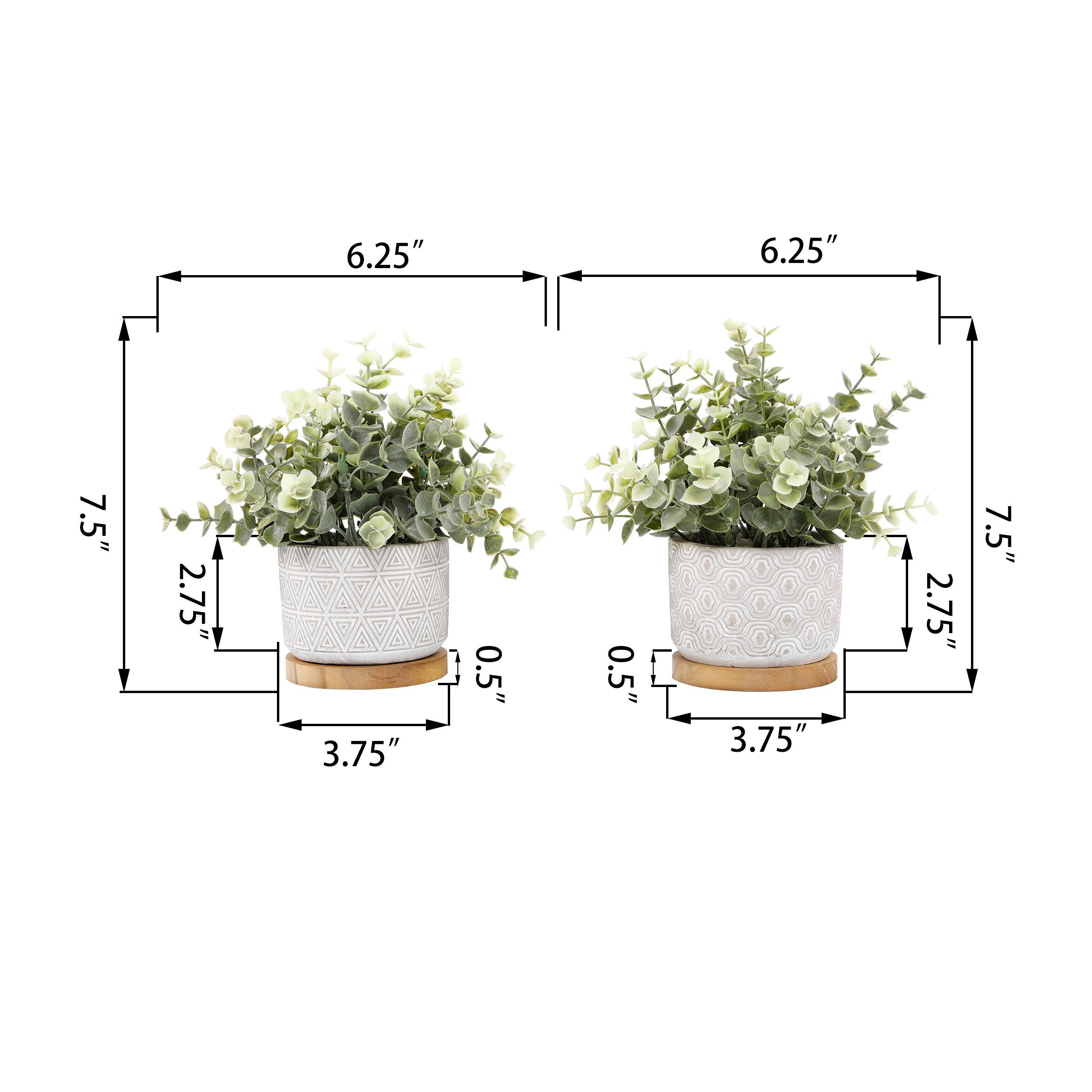 Flora Bunda® 7.5" Eucalyptus & Tea Leaf Plant in Cement Pot with Wood Base, 2ct.