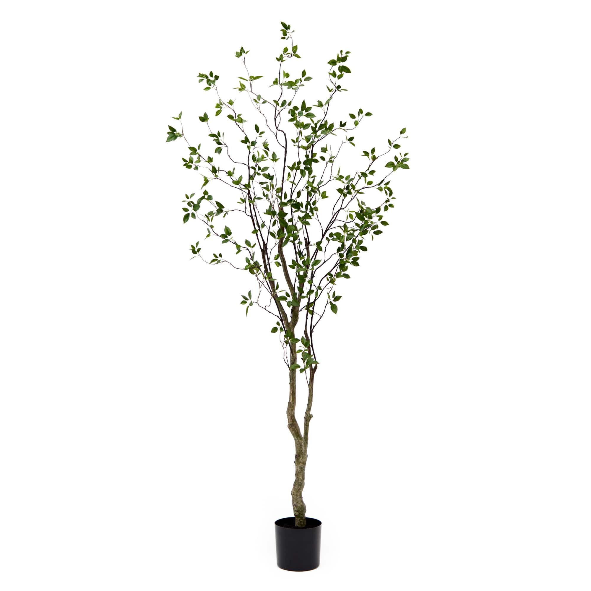 8ft. Minimalist Citrus Artificial Tree