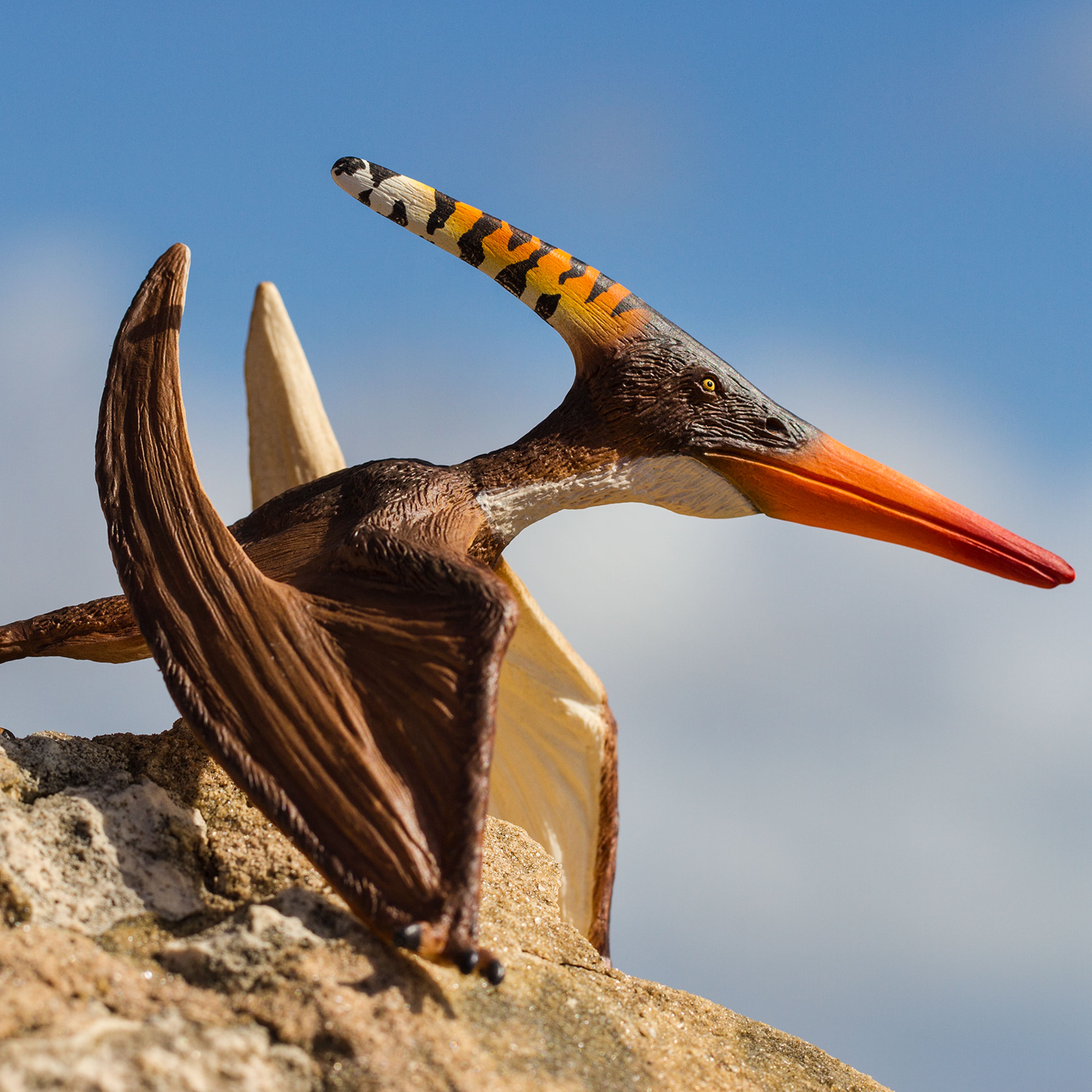 Safari Ltd&#xAE; Pteranodon