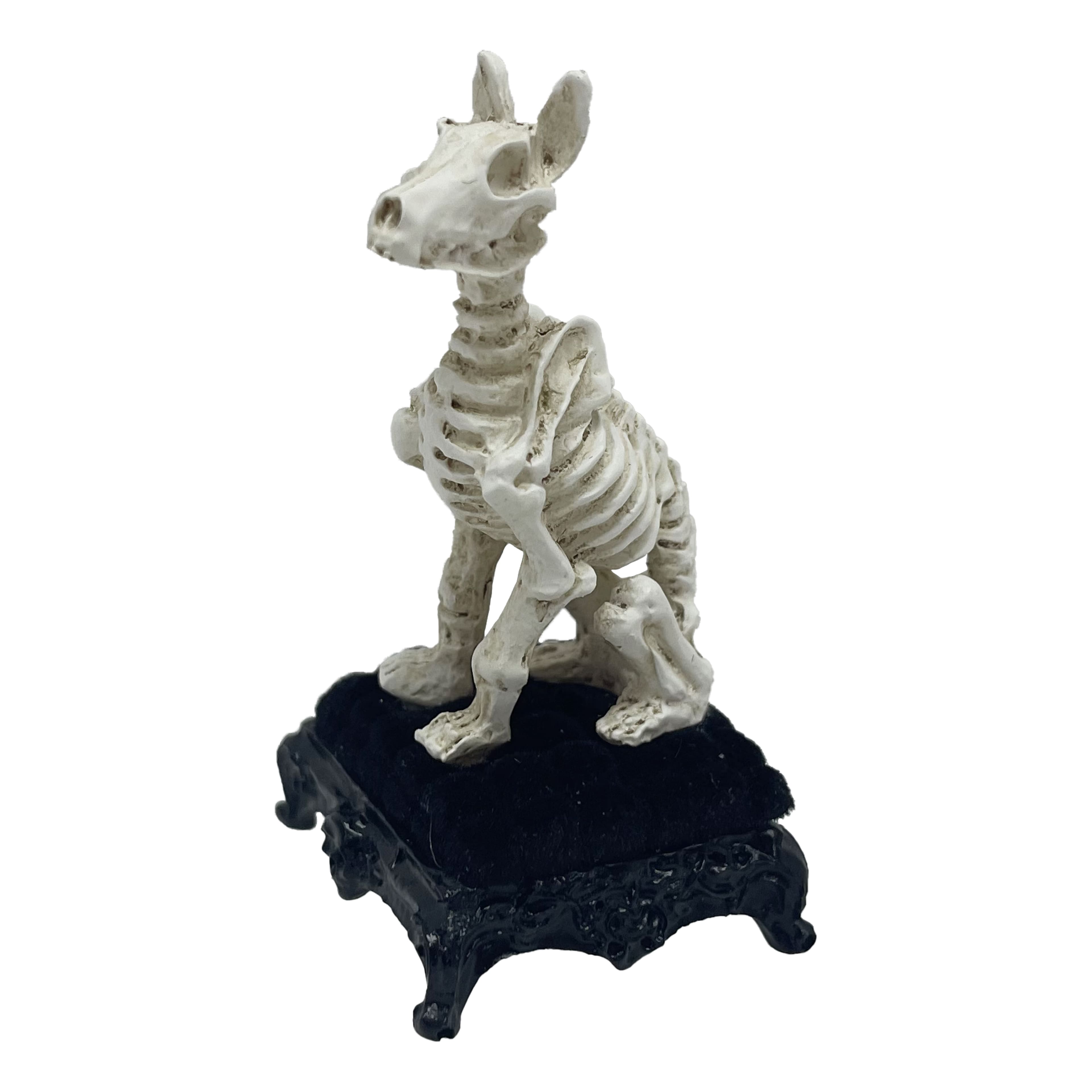 Mini Skeleton Dog by Ashland&#xAE;