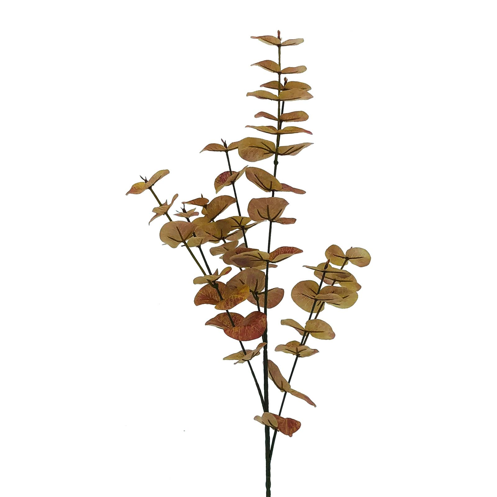 Pink &#x26; Brown Eucalyptus Stem by Ashland&#xAE;