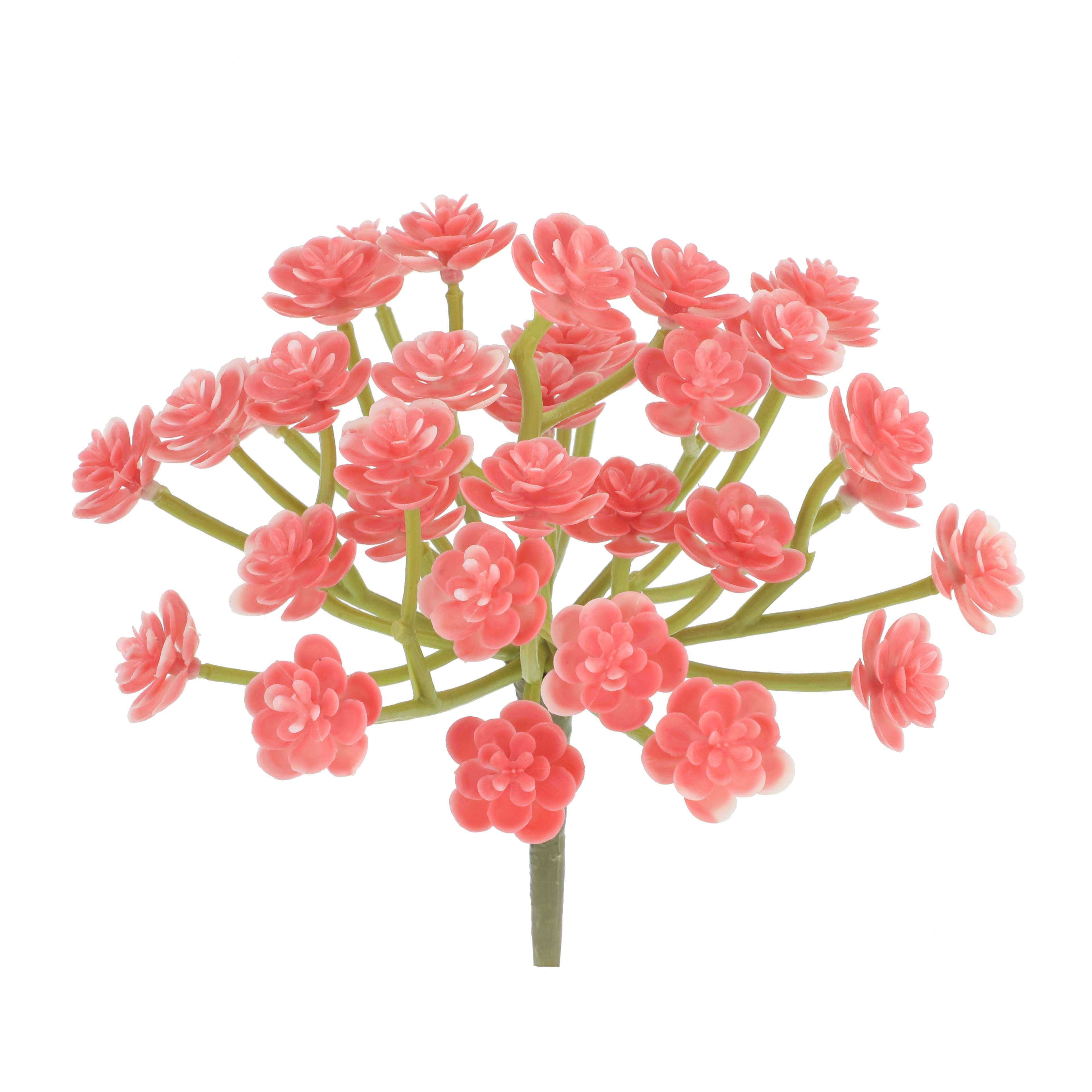 7&#x22; Pink Echeveria Pick by Ashland&#xAE;