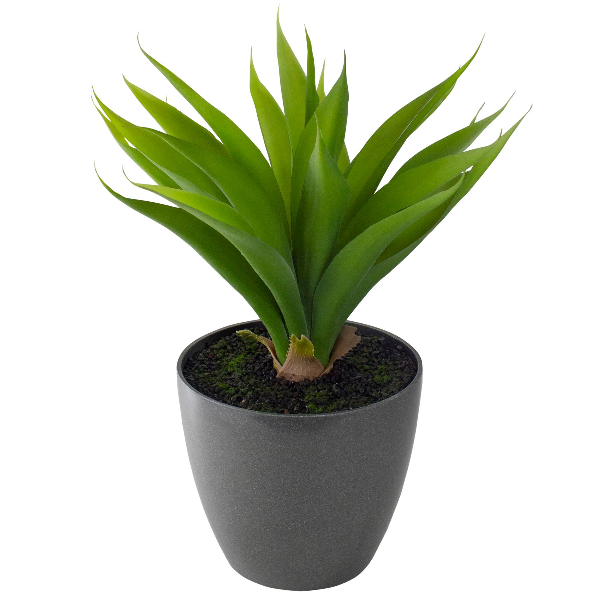 22" Potted Green Agave Plant