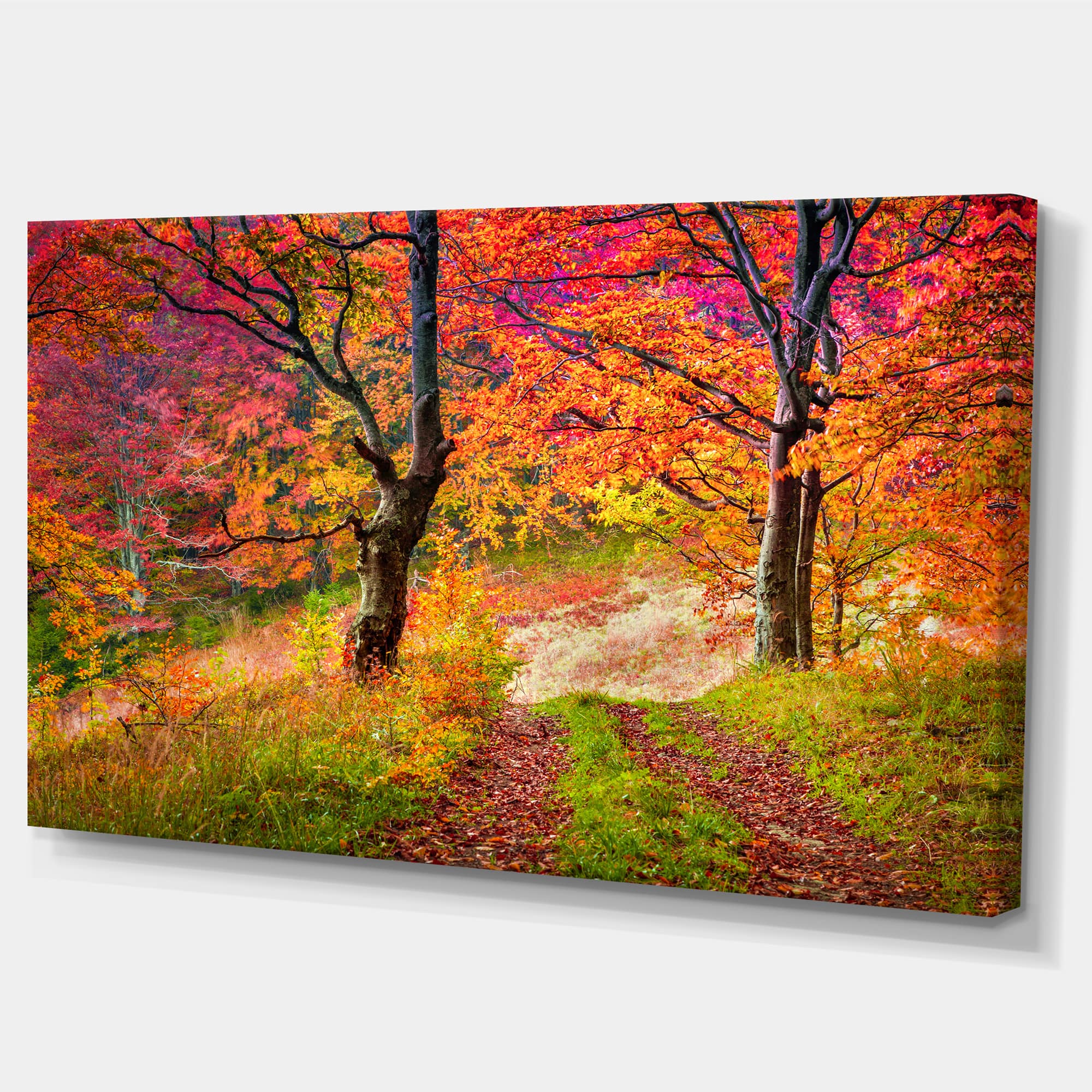 Designart - Bright Colorful Fall Trees in Forest - Large Landscape Canvas Art Print