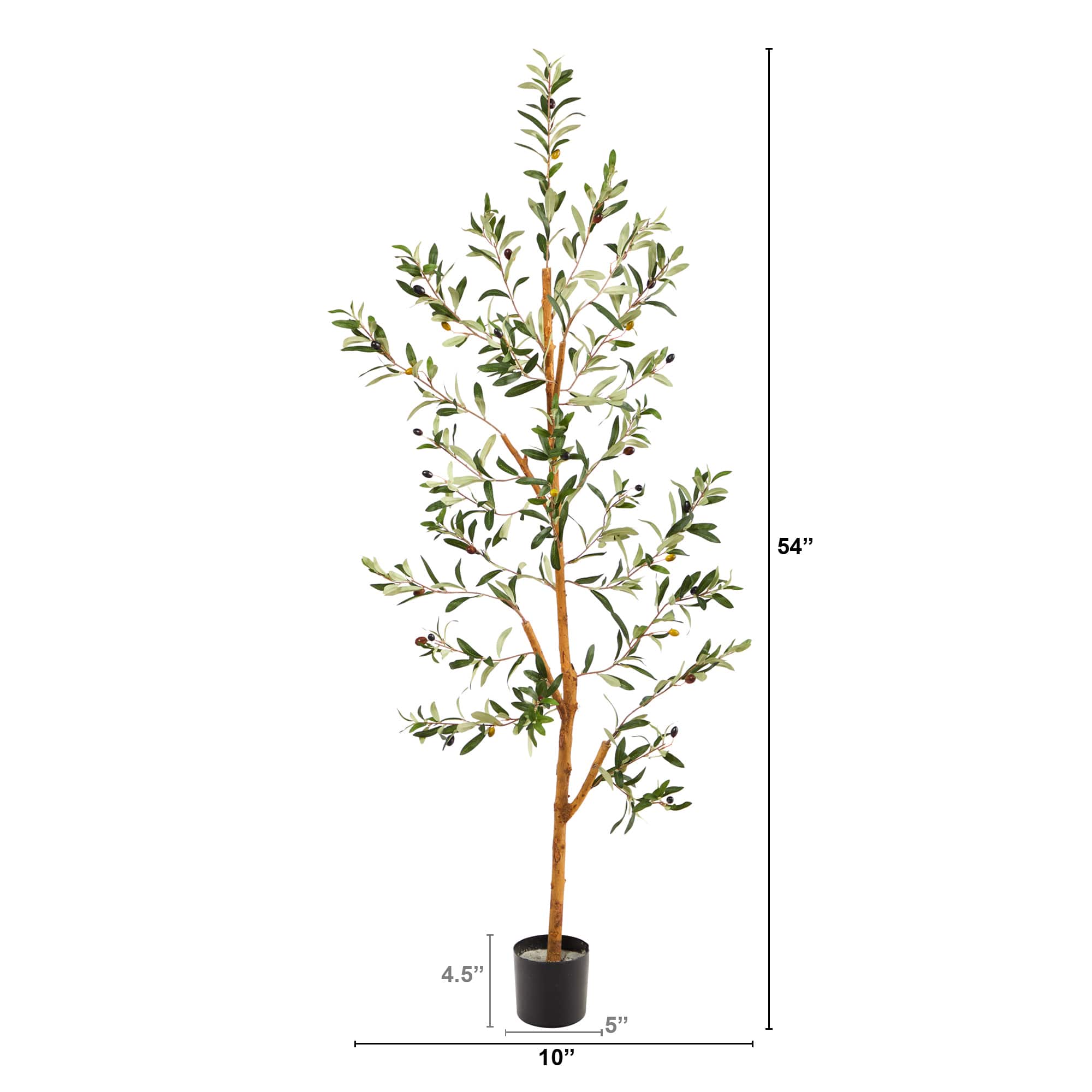 4.5ft. Potted Sparse Olive Tree