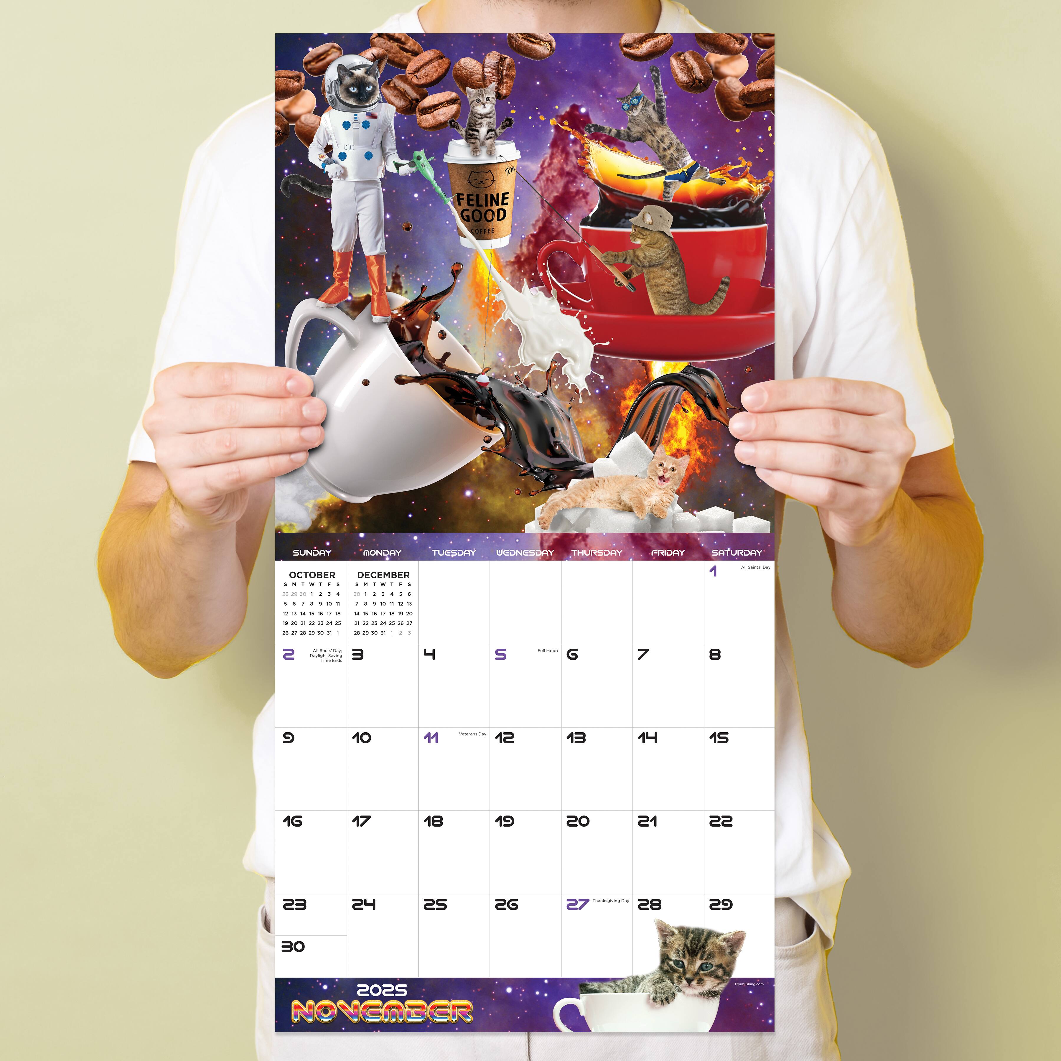 TF Publishing 2025 Space Cats Wall Calendar