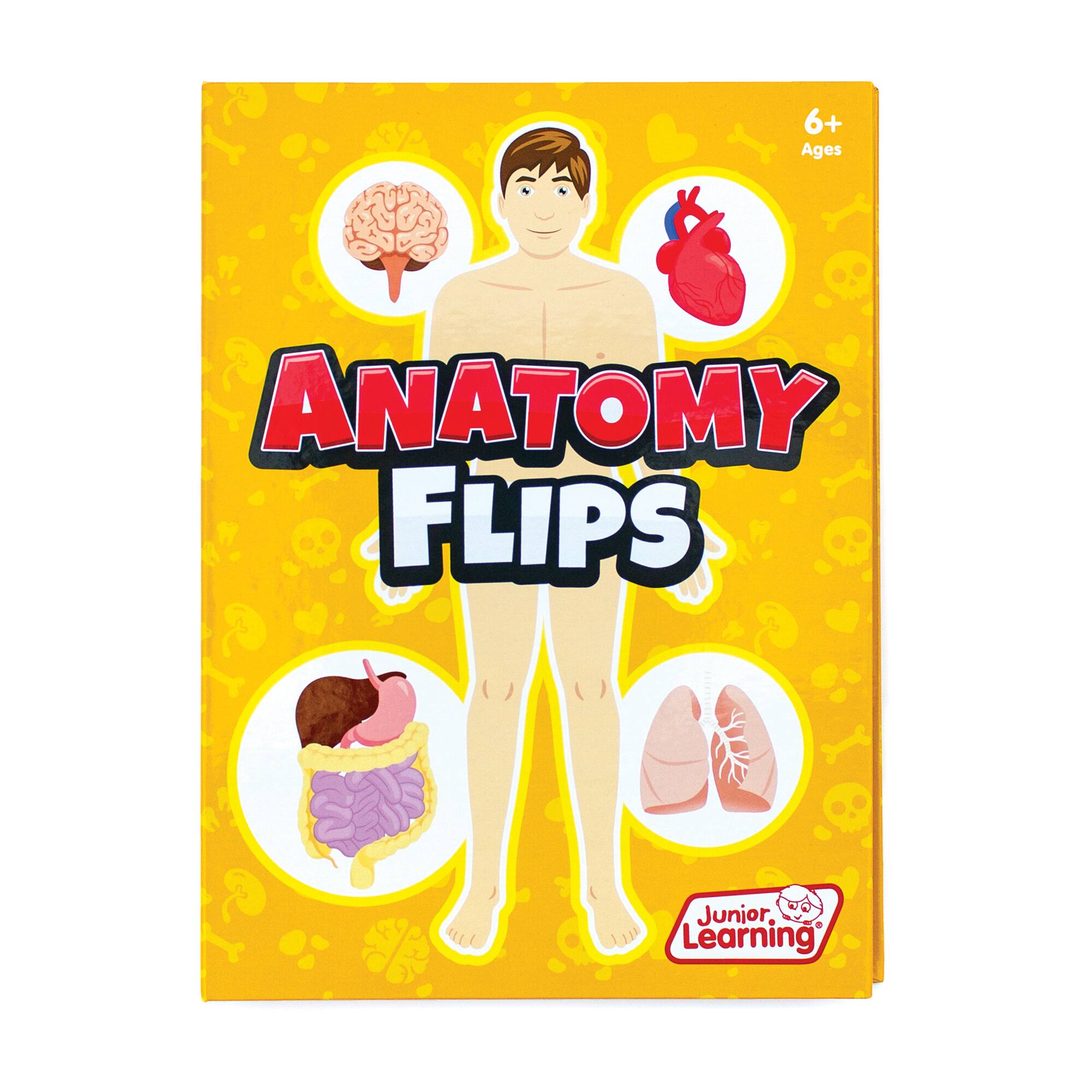 Junior Learning® Anatomy Flips Educational Flip Book | Michaels