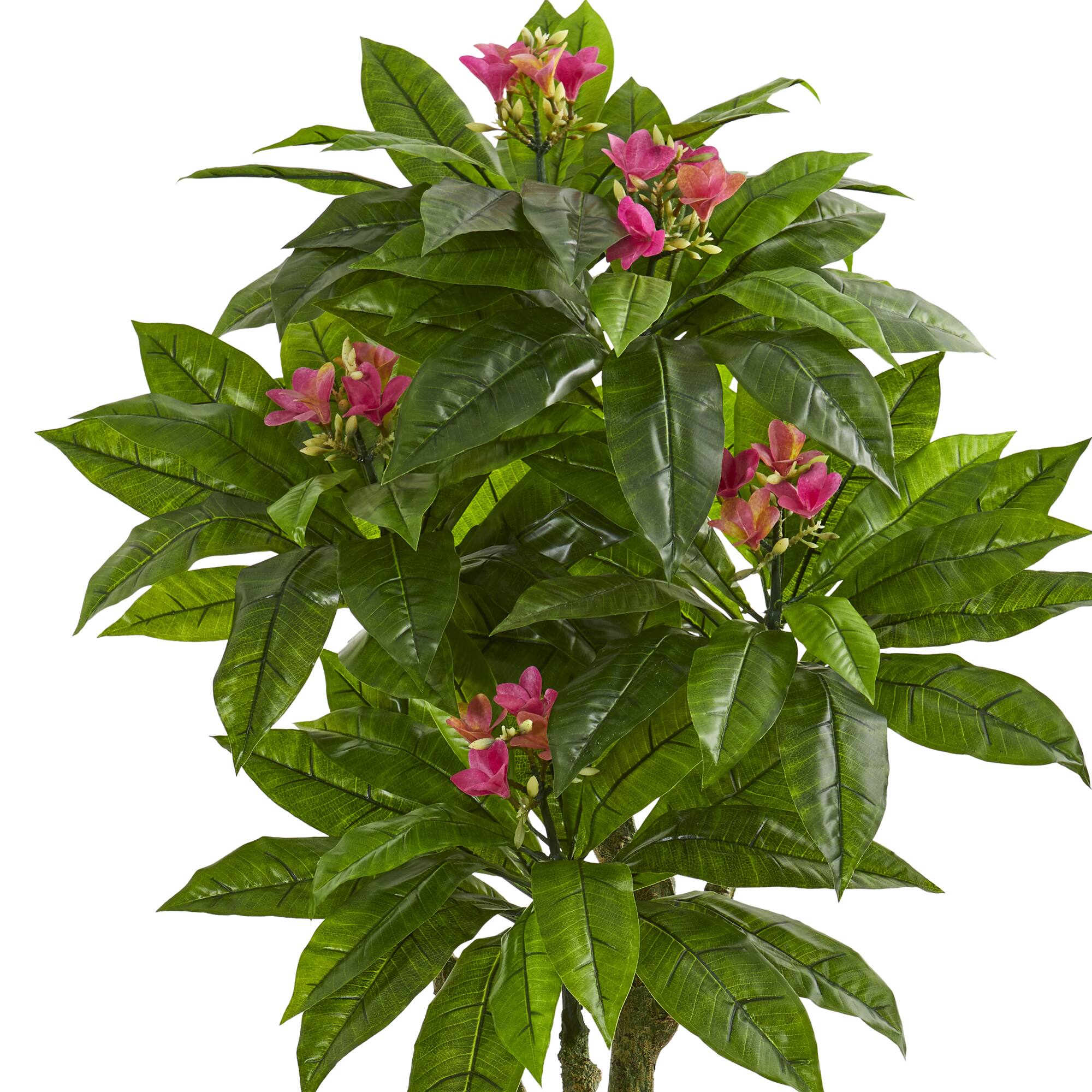 5.5ft. Plumeria Tree in Gray Planter