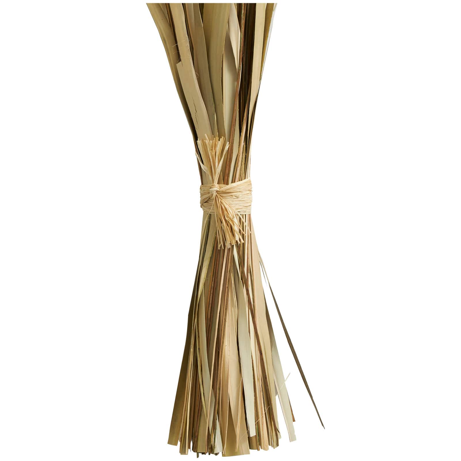 40" Green Dried Plant Bouquet Grass Natural Foliage with Fan Like Palm Leaves