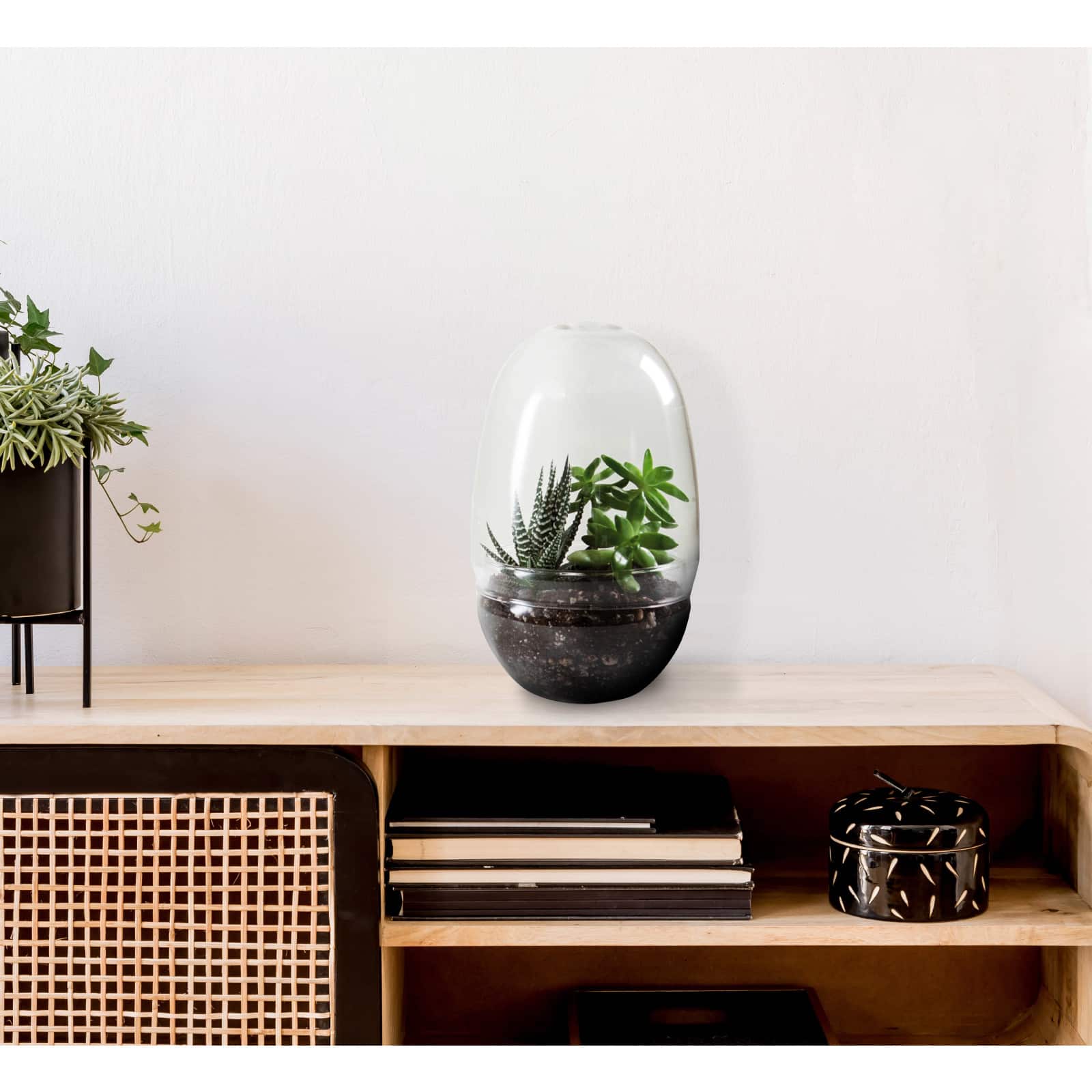 Hello Honey&#xAE; 13&#x22; Large Clear Glass Terrarium