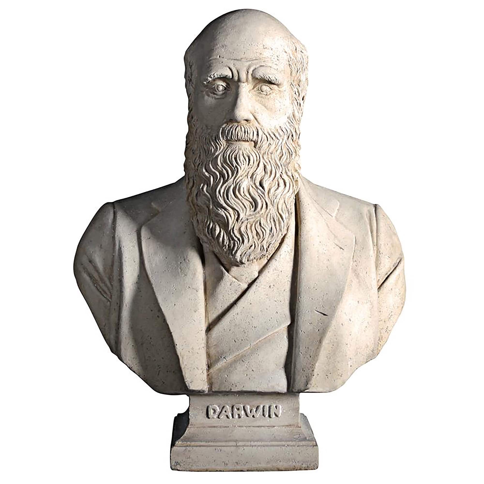 Design Toscano 27&#x22; The Evolution of Charles Darwin Bust Statue
