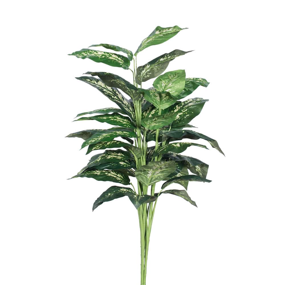 3ft. Green &#x26; White Diffenbachia Plant