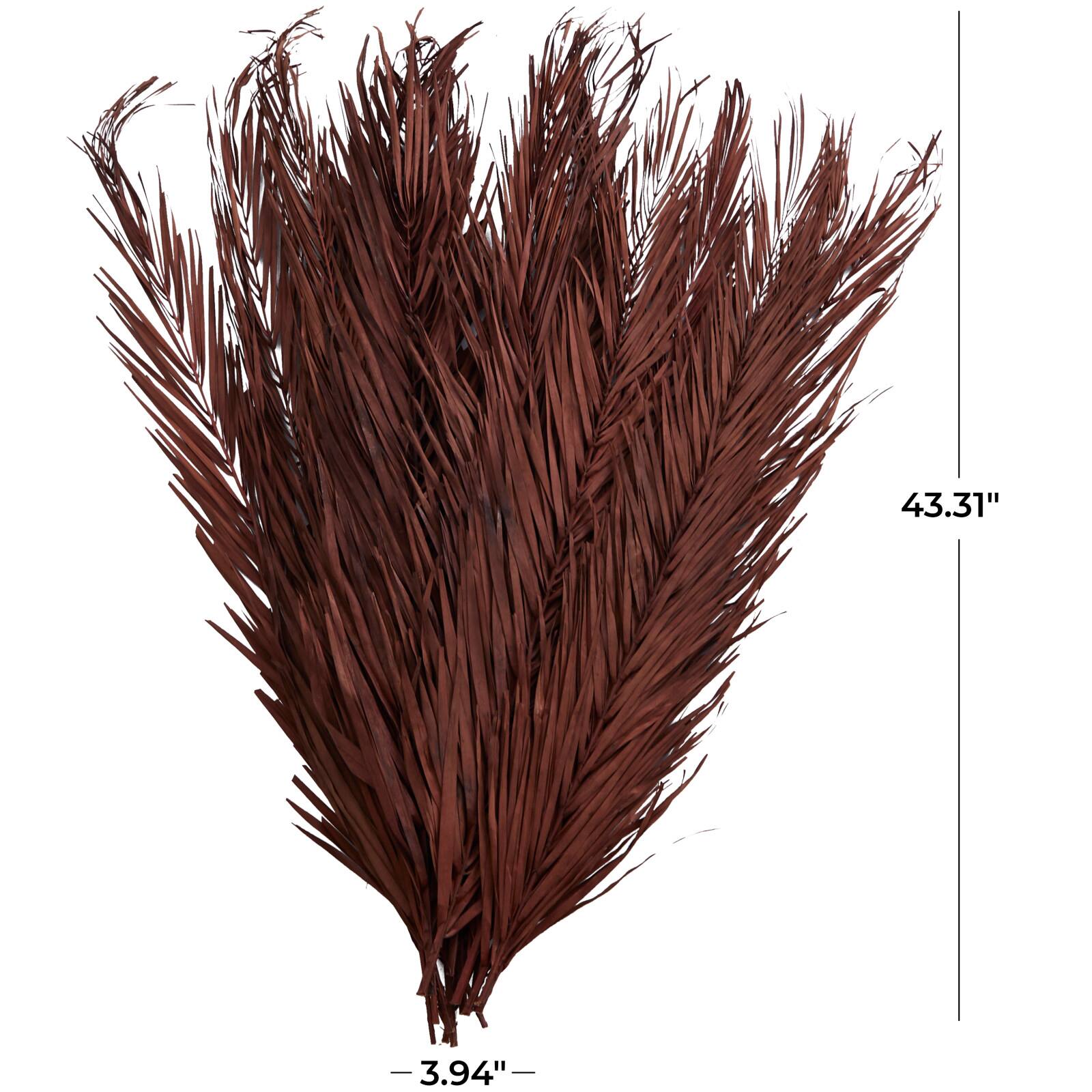 43&#x22; Natural Dried Plant Palm Leaf Bunch with Feather-Inspired Stems