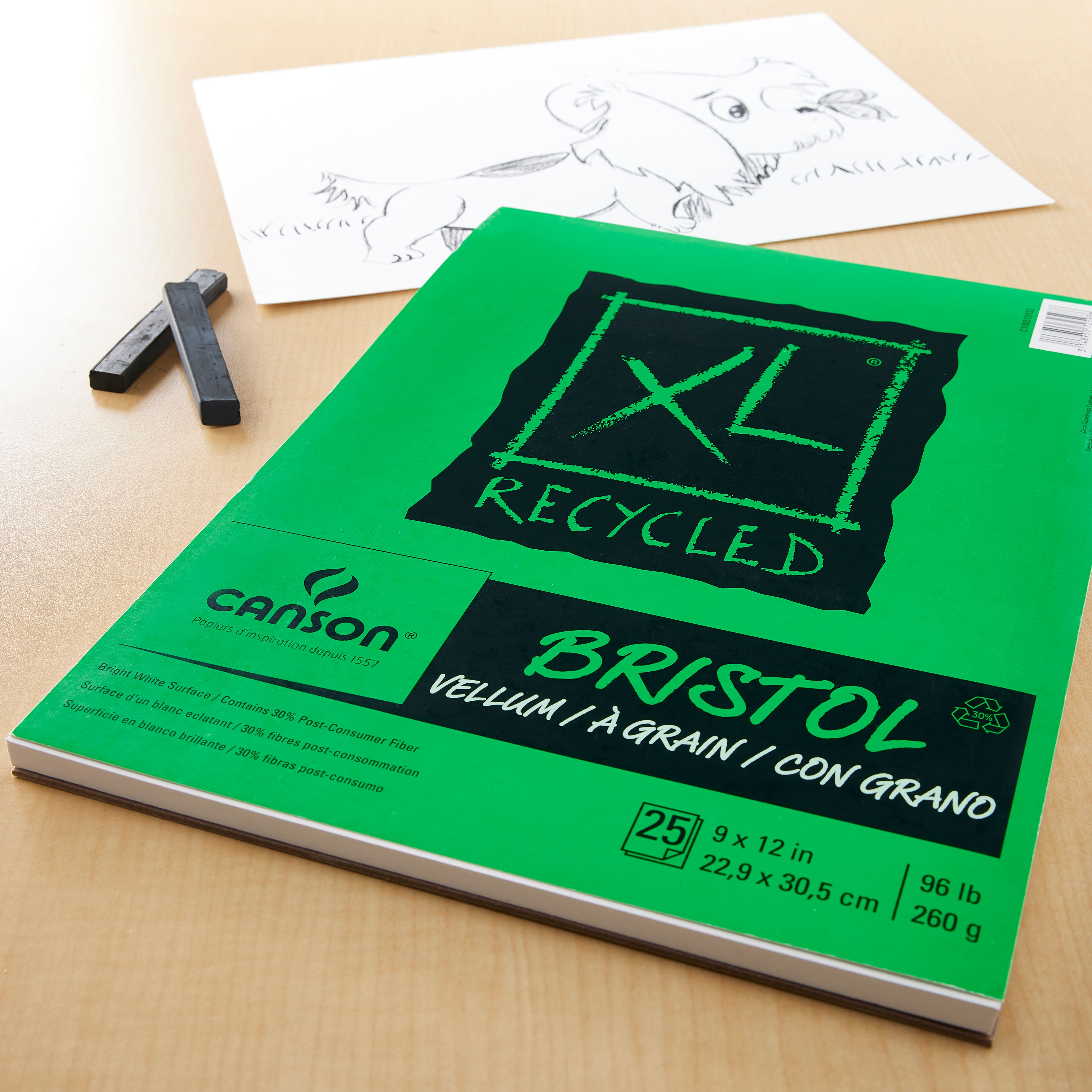 12 Pack: Canson&#xAE; XL&#xAE; Recycled Bristol Pad