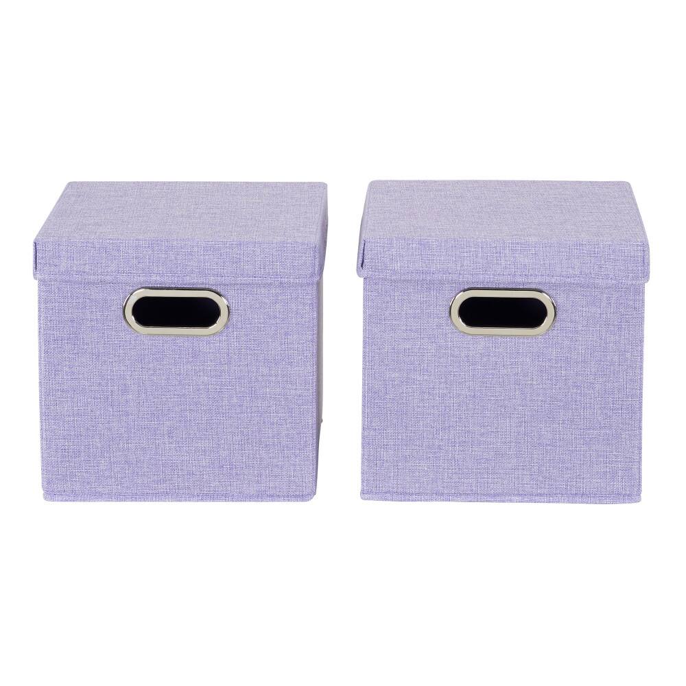 Household Essentials Storage Bins with Lids, 2ct.