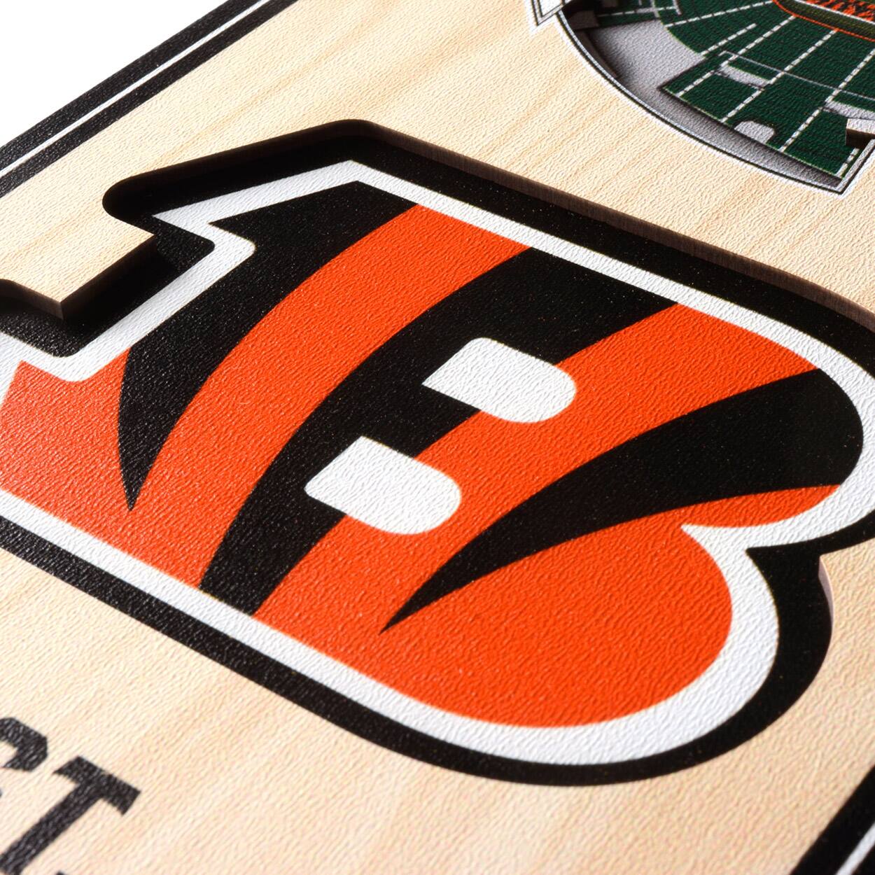 6&#x22; x 19&#x22; 3D StadiumView Banner