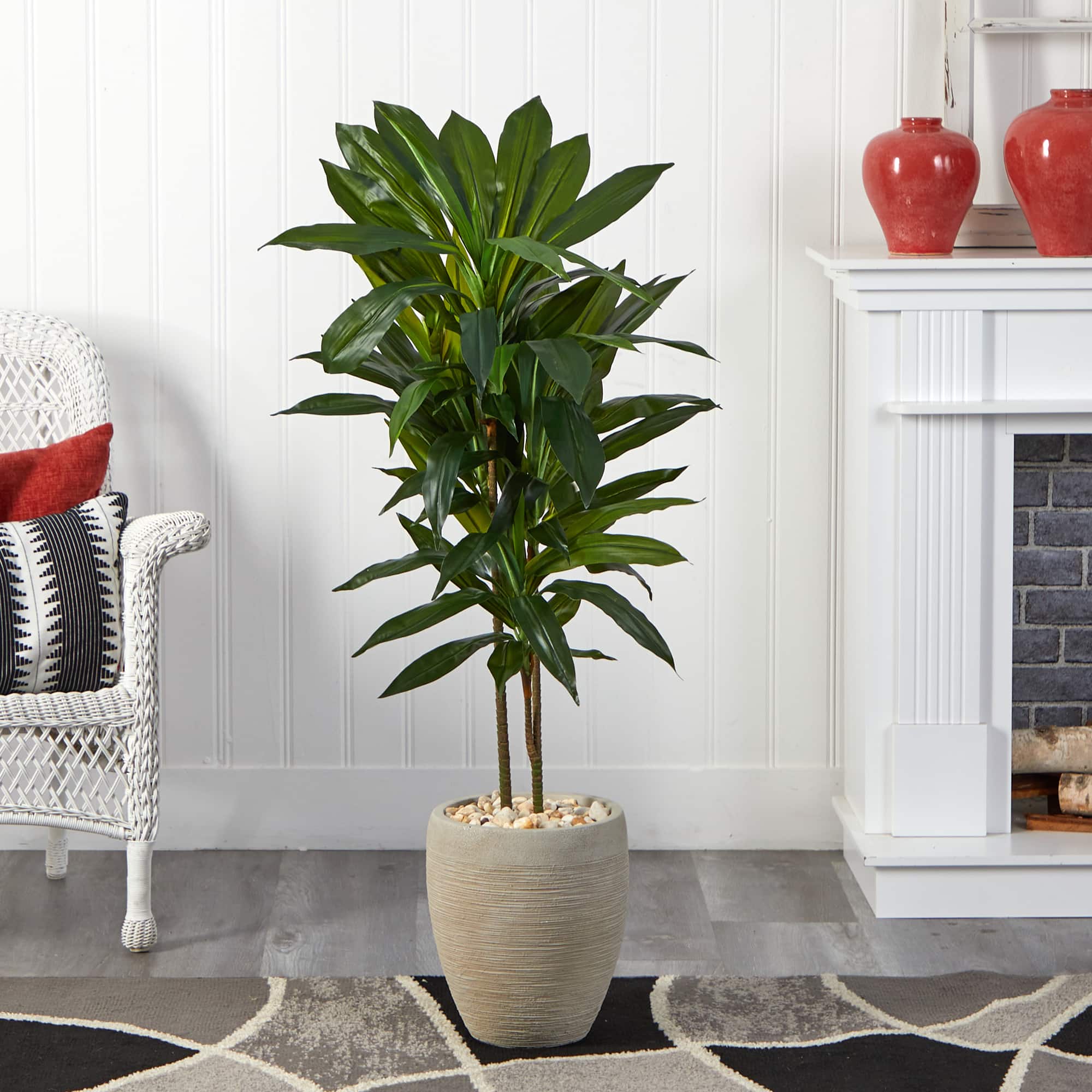 4ft. Dracaena Plant in Sand Colored Planter