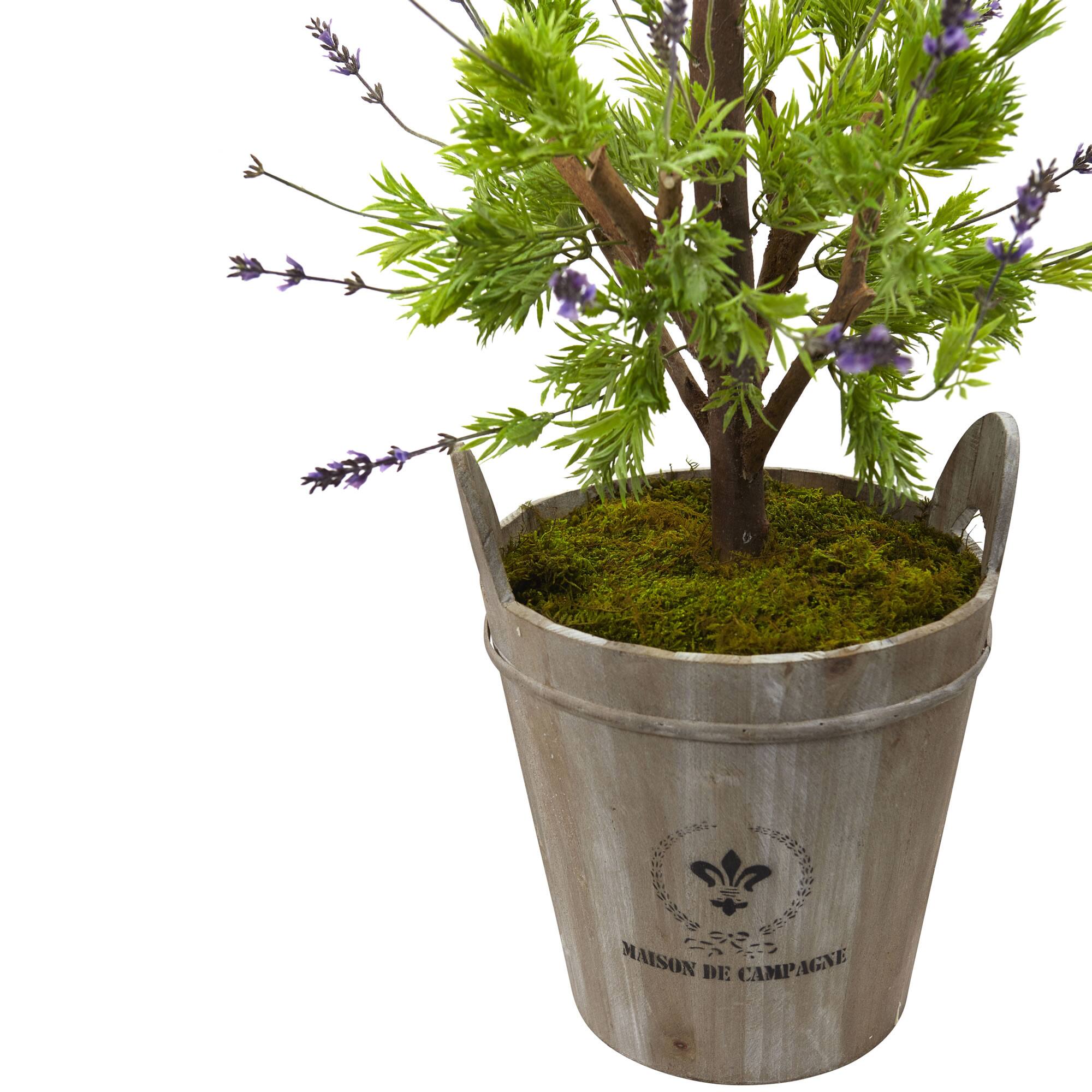 4ft. Lavender Topiary with European Barrel Planter