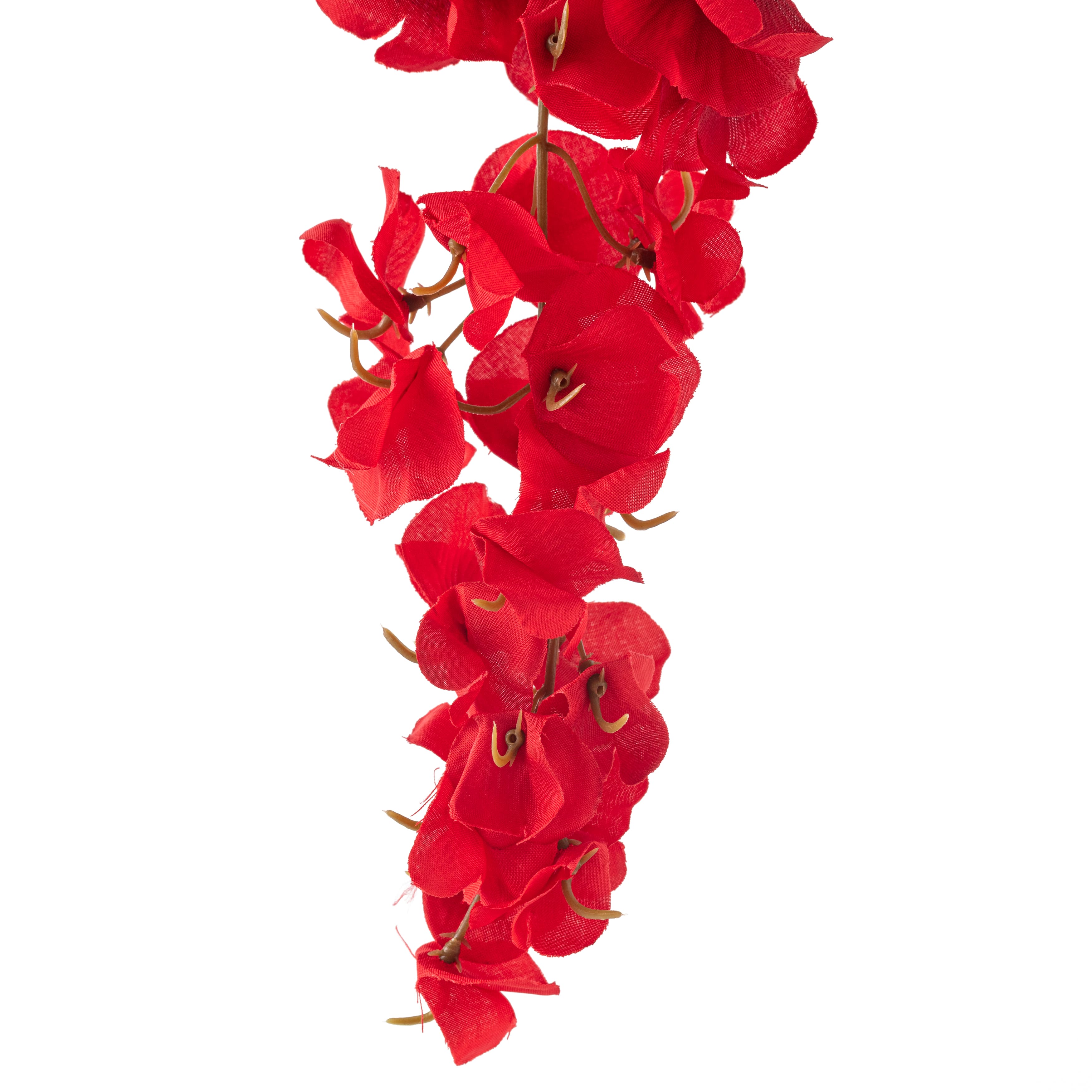 12 Pack: Red Wisteria Stem by Ashland&#xAE;
