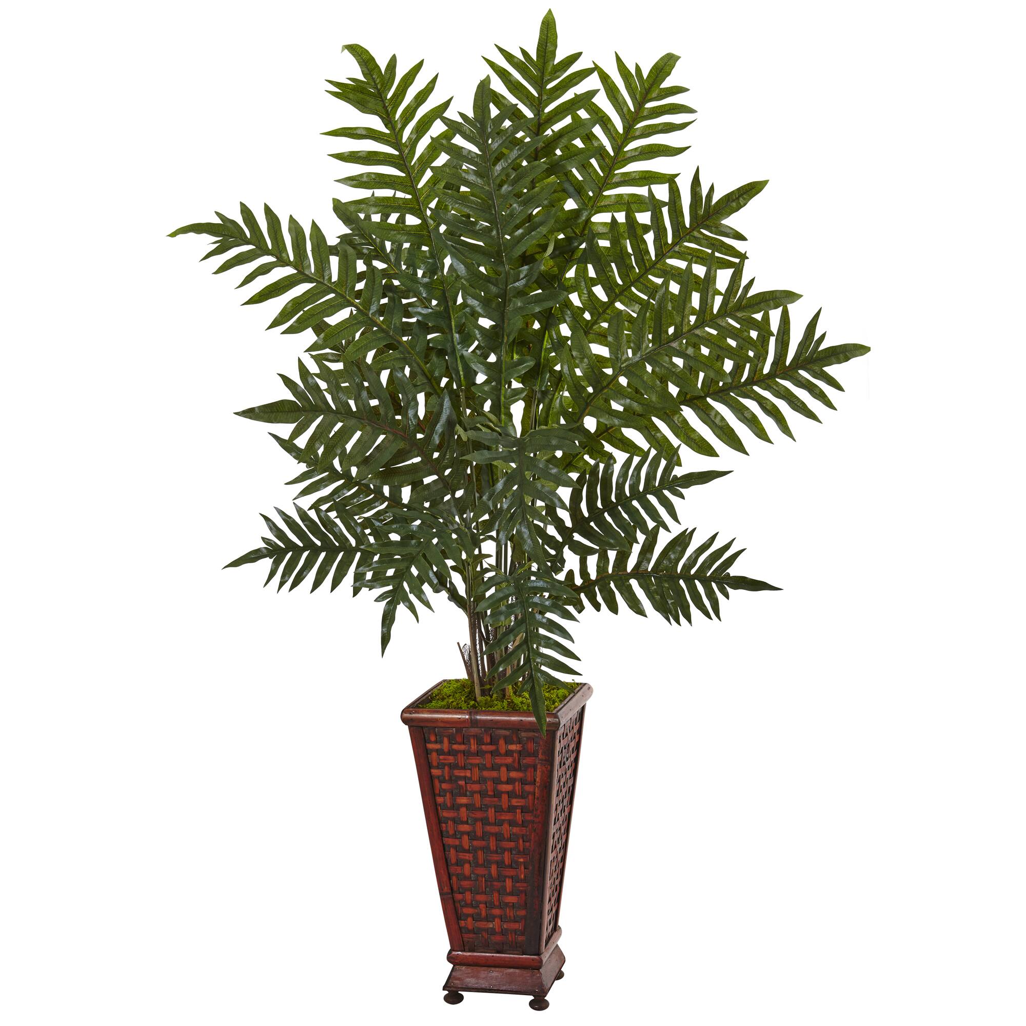 4ft. Evergreen Plant in Wood Planter