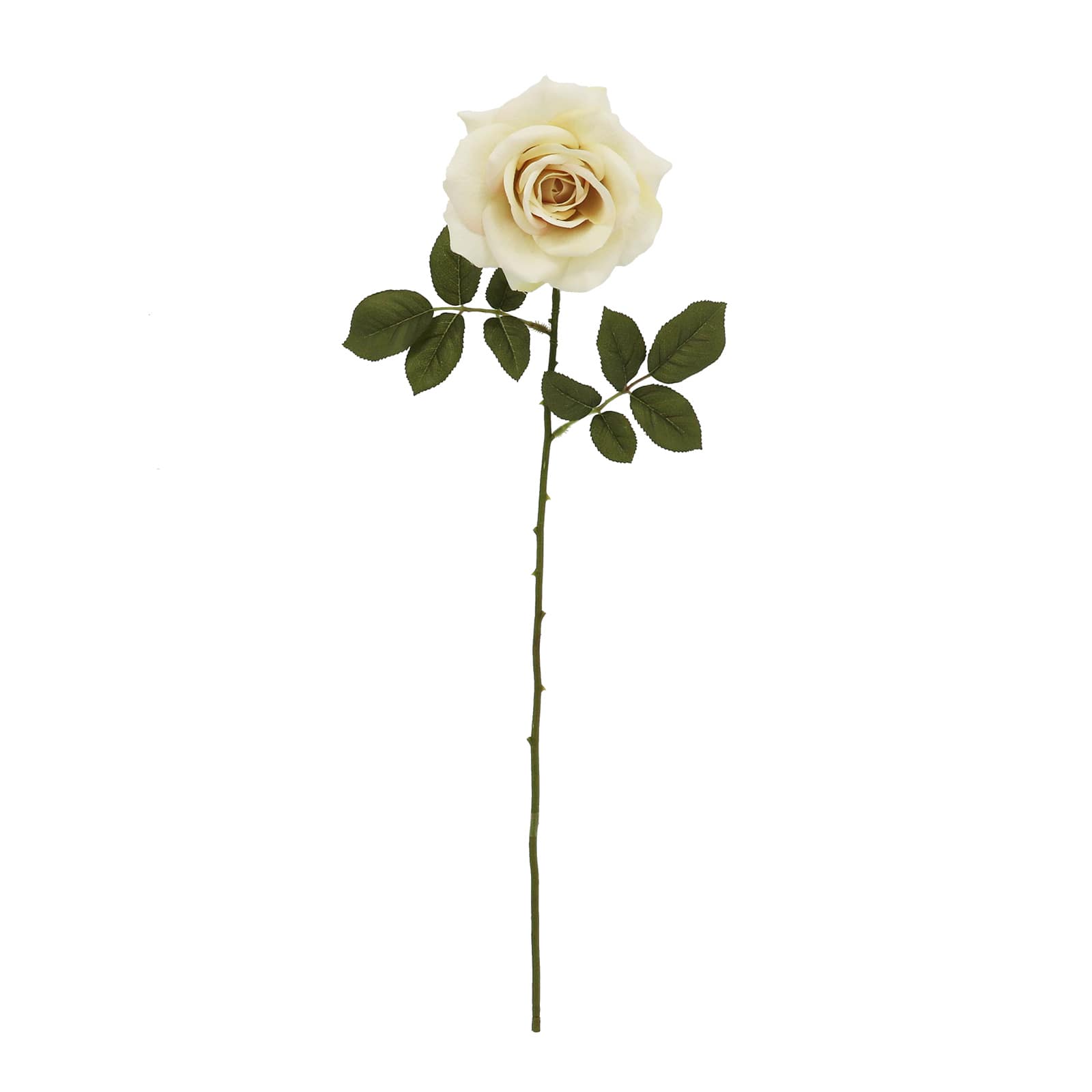 29&#x22; Cream Rose Stem by Ashland&#xAE;