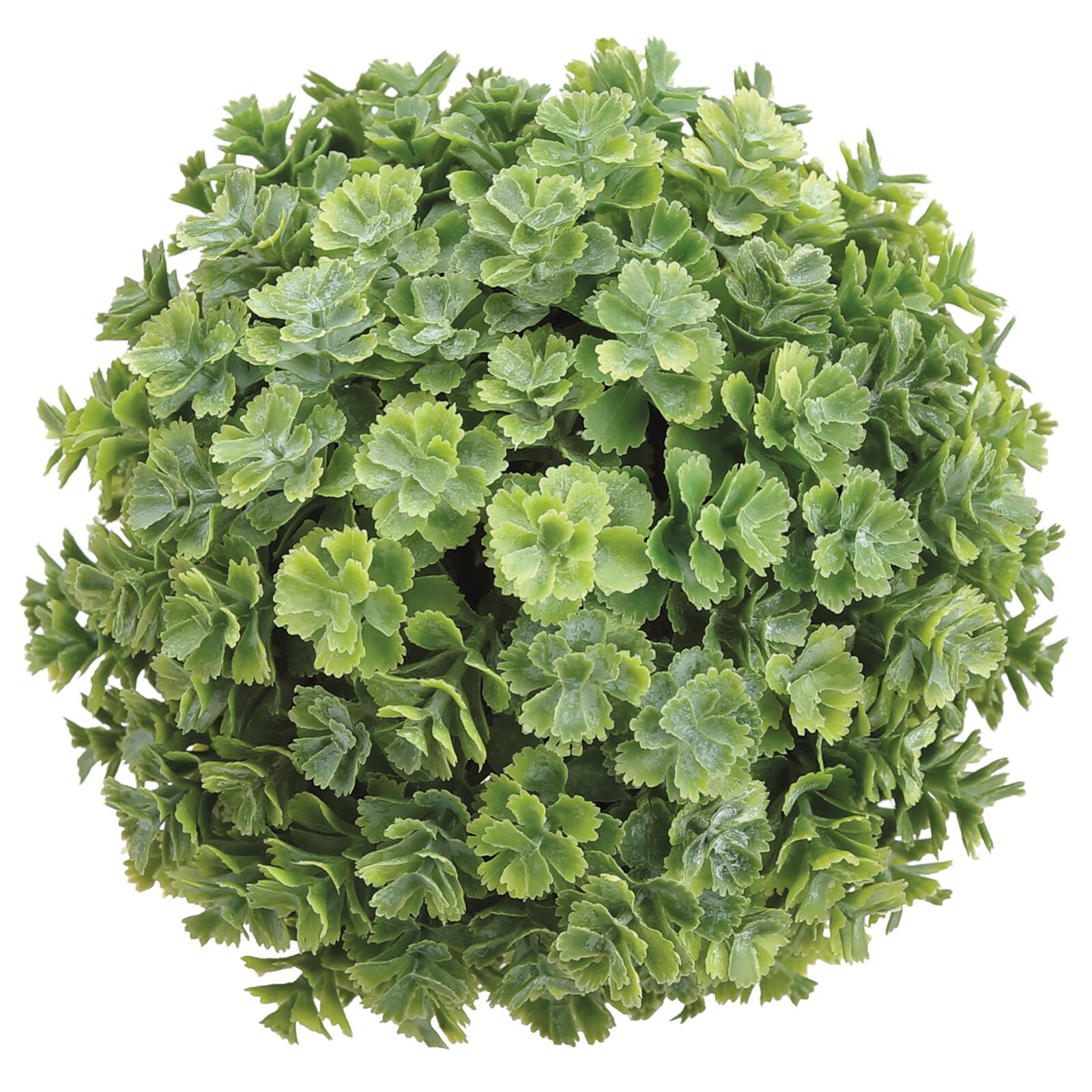 12 Pack: 5.5&#x22; Green Soft Touch Sedum Orb