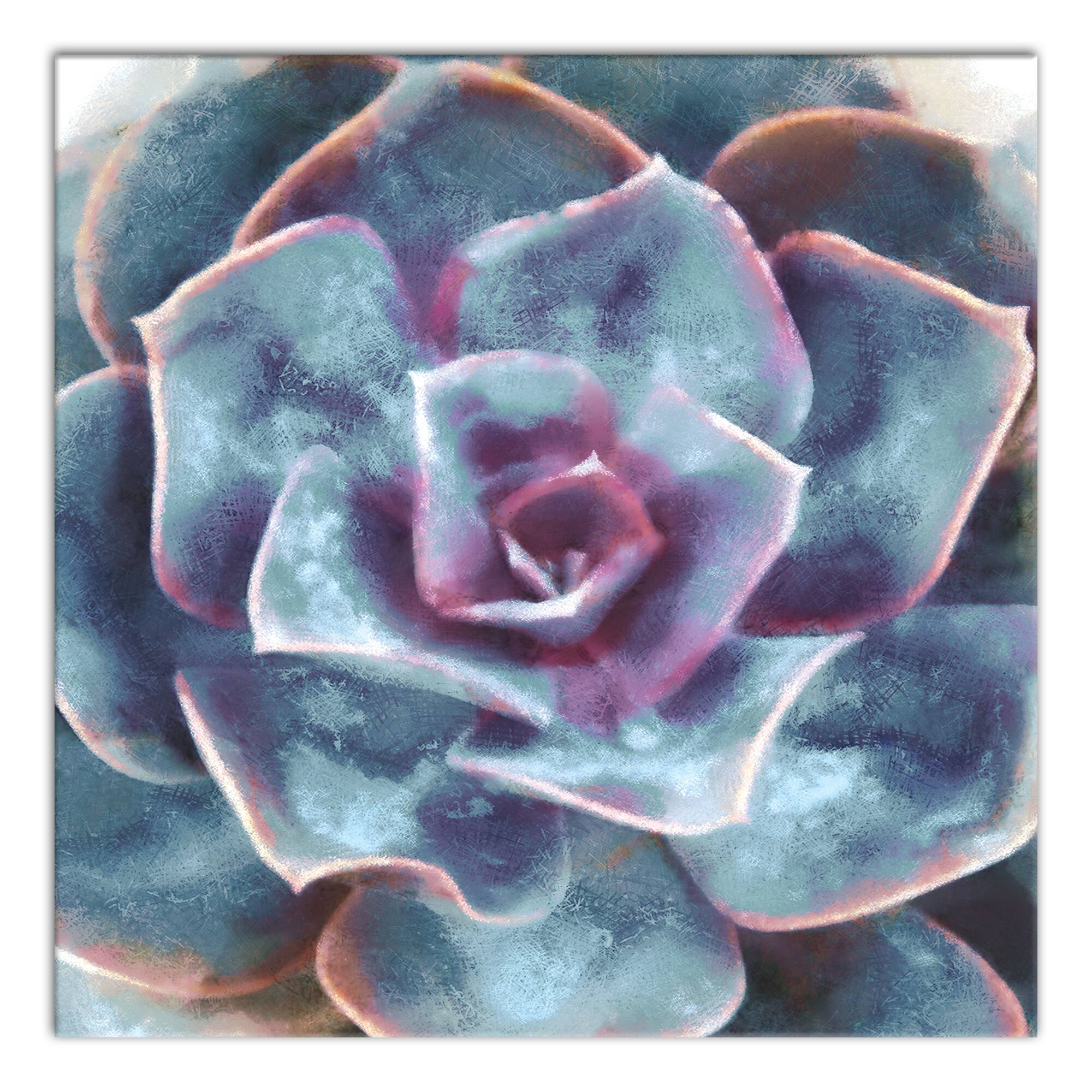 Purple And Teal Succulent 20" x 20" Canvas Wall Art