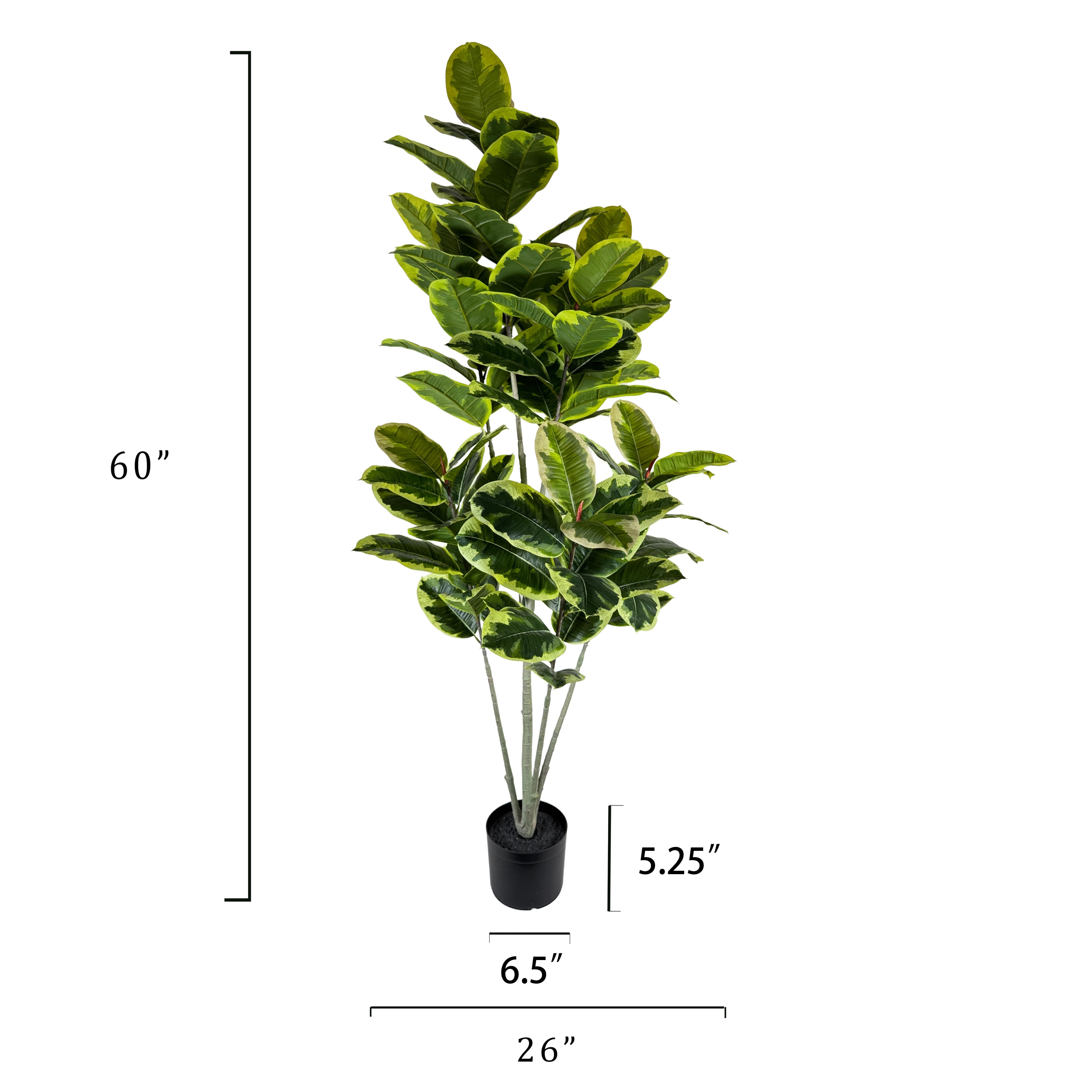 5ft. Ficus Tree by Ashland&#xAE;