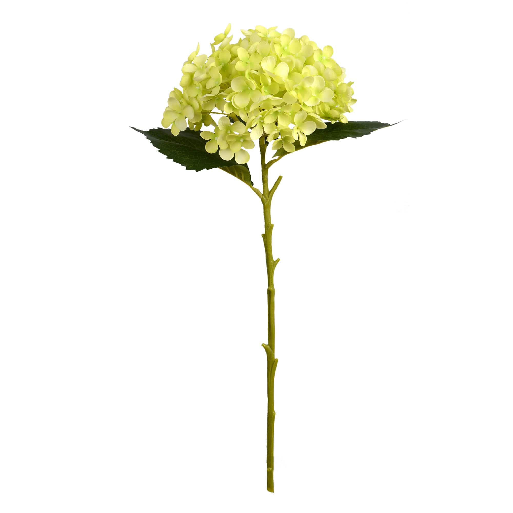 3 Pack: Green Hydrangea Stem | Michaels