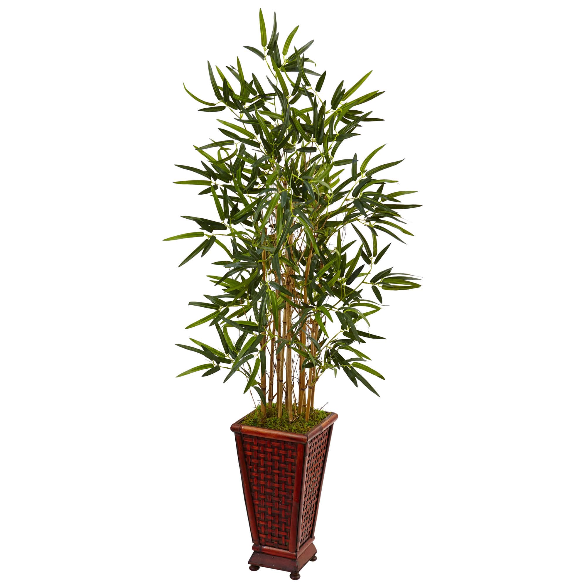 4.5ft. Bamboo Tree in Bamboo Tower Planter | Trees & Floor Plants ...