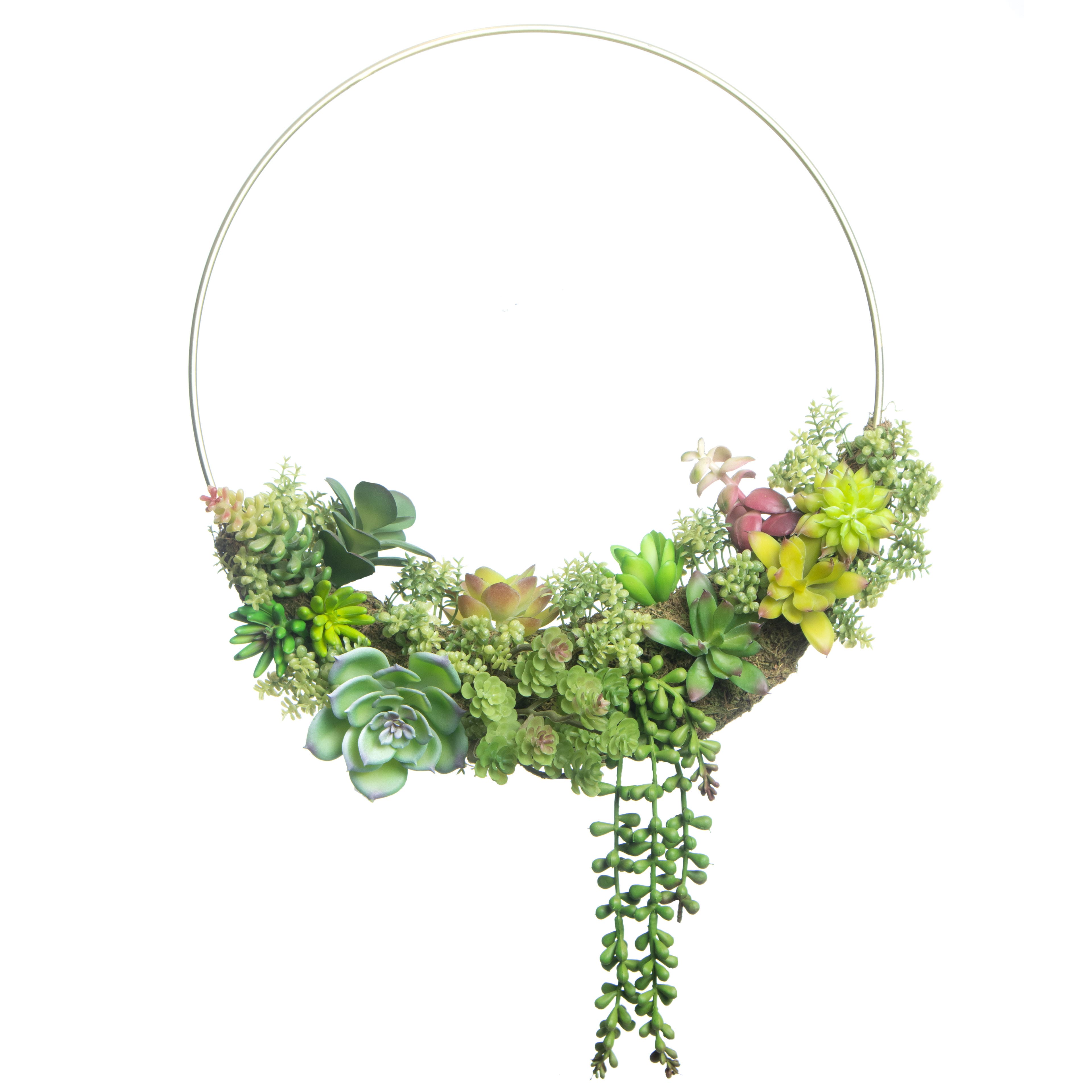 19.5&#x22; Succulent Half Wreath Hoop by Ashland&#xAE;