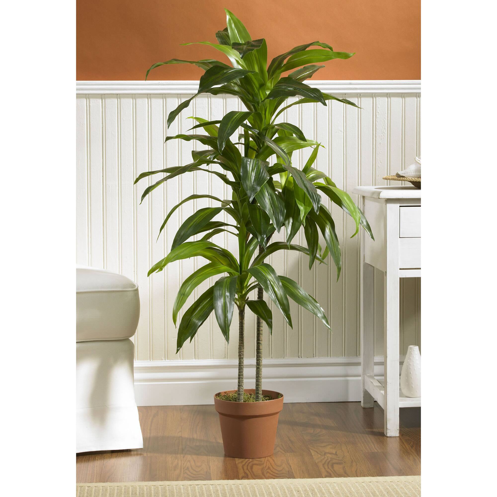 4ft. Dracaena Silk Plant | Michaels