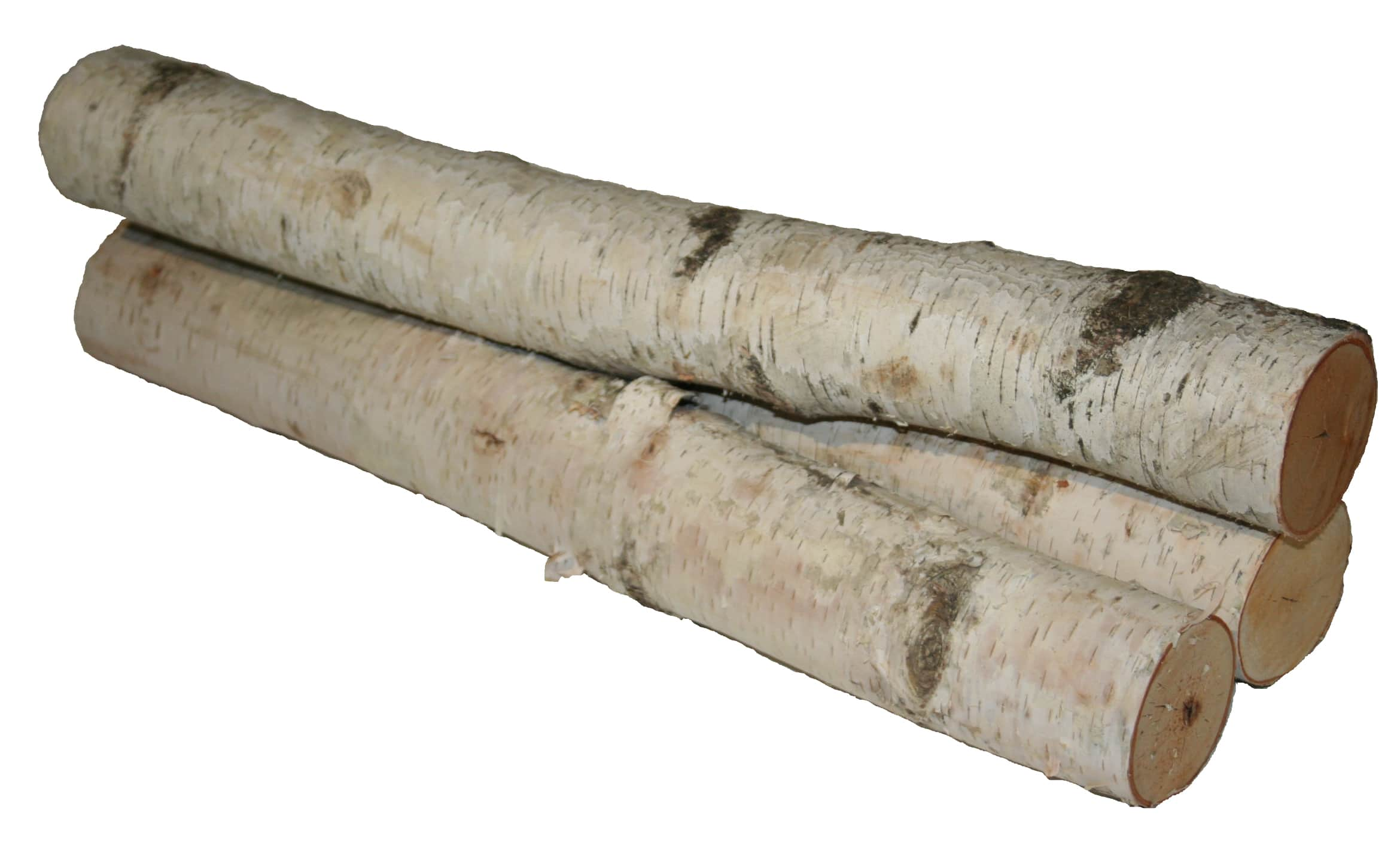 Wilson® Enterprises 6"-8" Large White Birch Fireplace Set, 3ct.