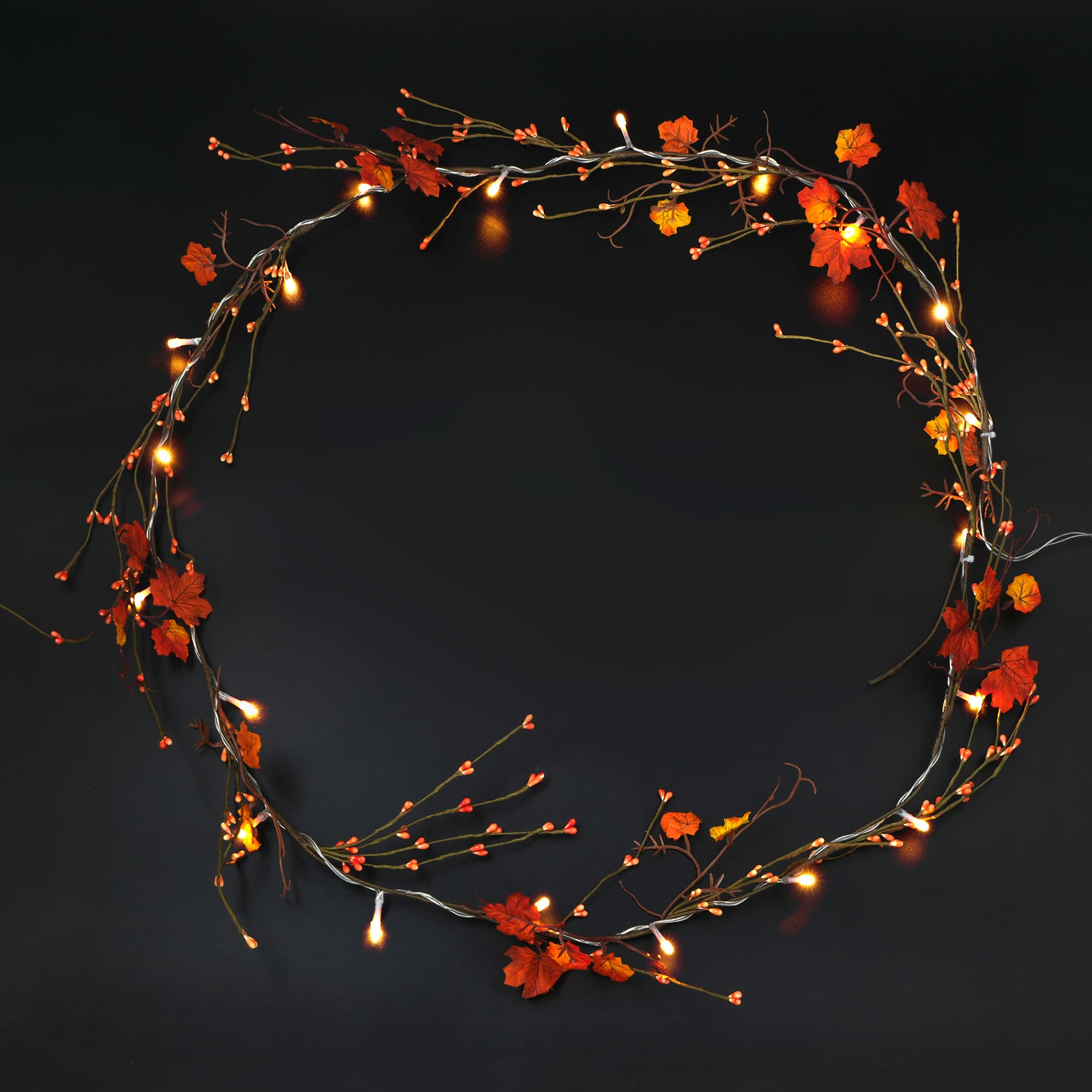 20ct. LED Warm White LED Red Leaf Garland String Lights by Ashland&#xAE;