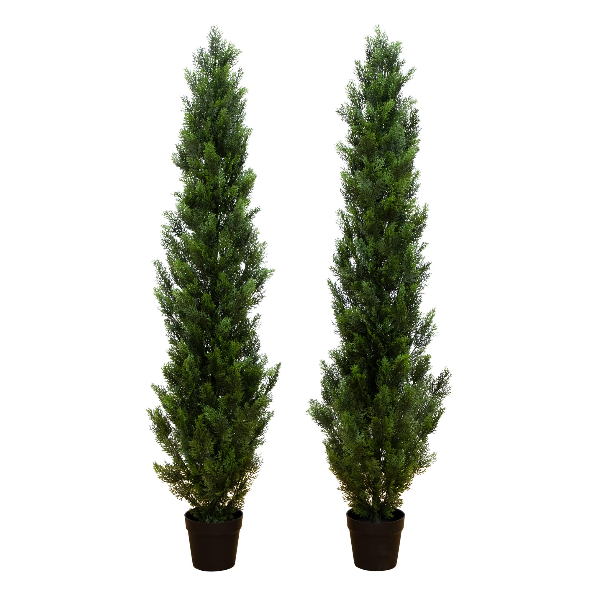 6ft. Potted UV Resistant Topiary Cedar Trees, 2ct.
