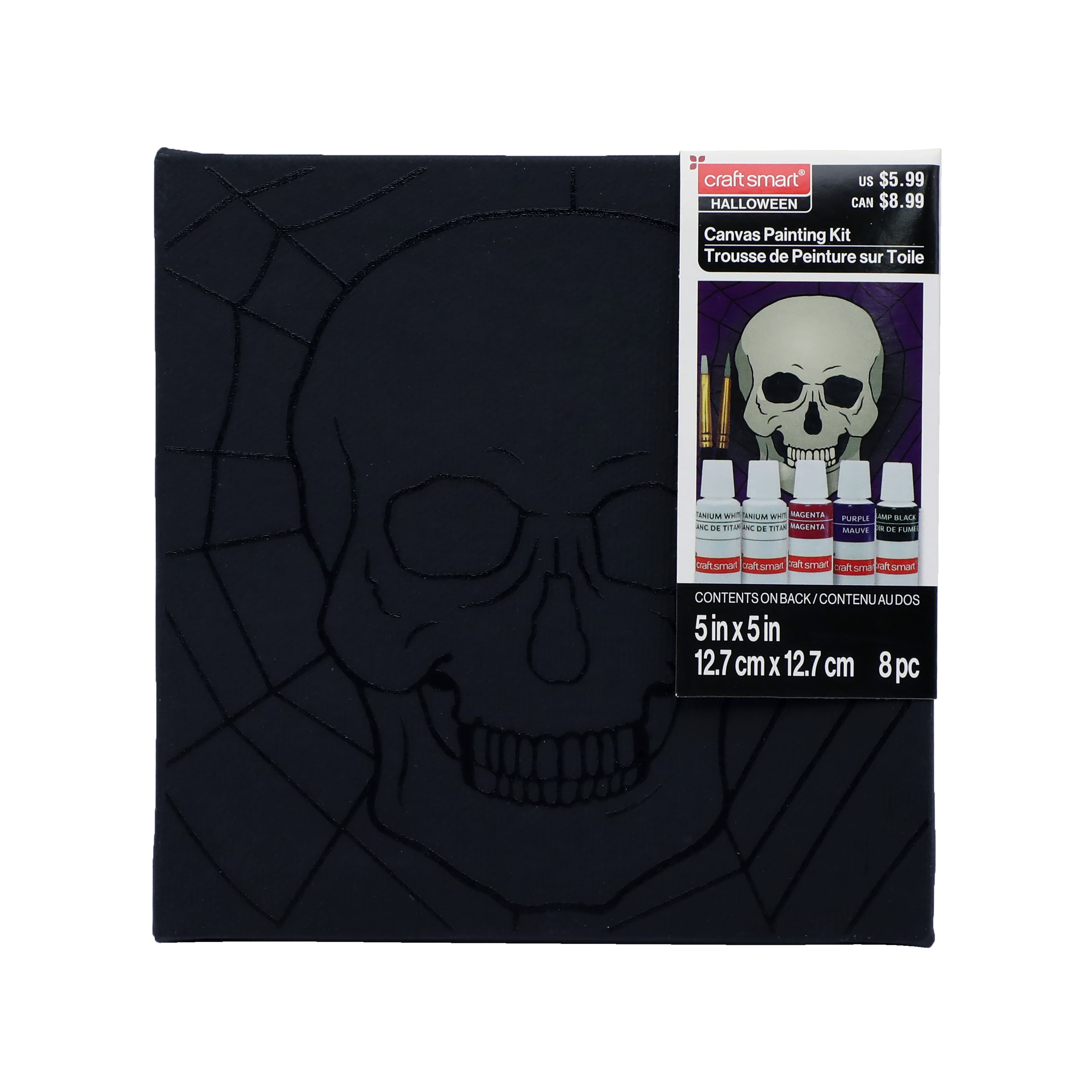 5&#x22; x 5&#x22; Skull in Web Canvas Painting Kit by Craft Smart&#xAE;