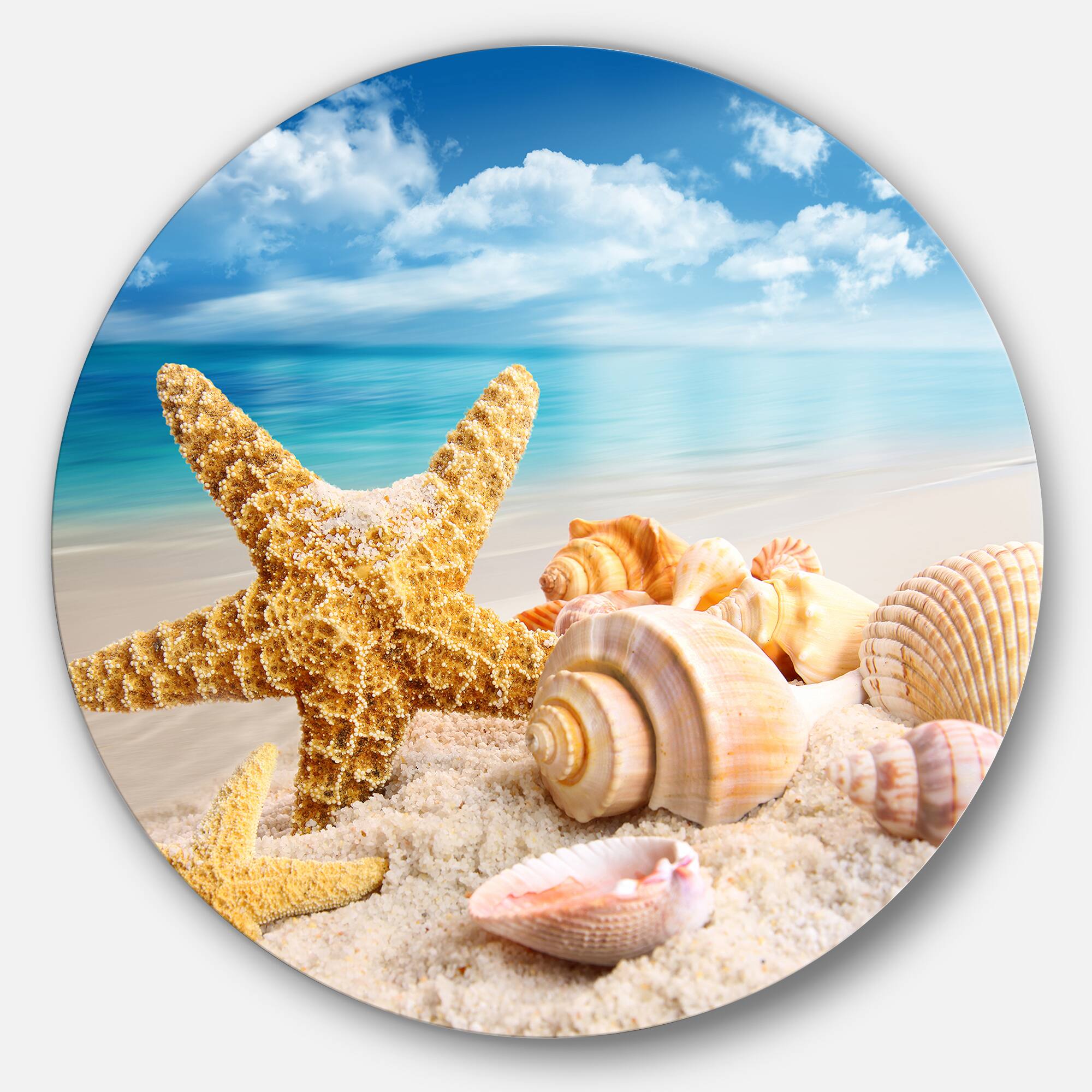 Designart - Starfish and Seashells on Beach' Seashore Photo Metal Circle Wall Art