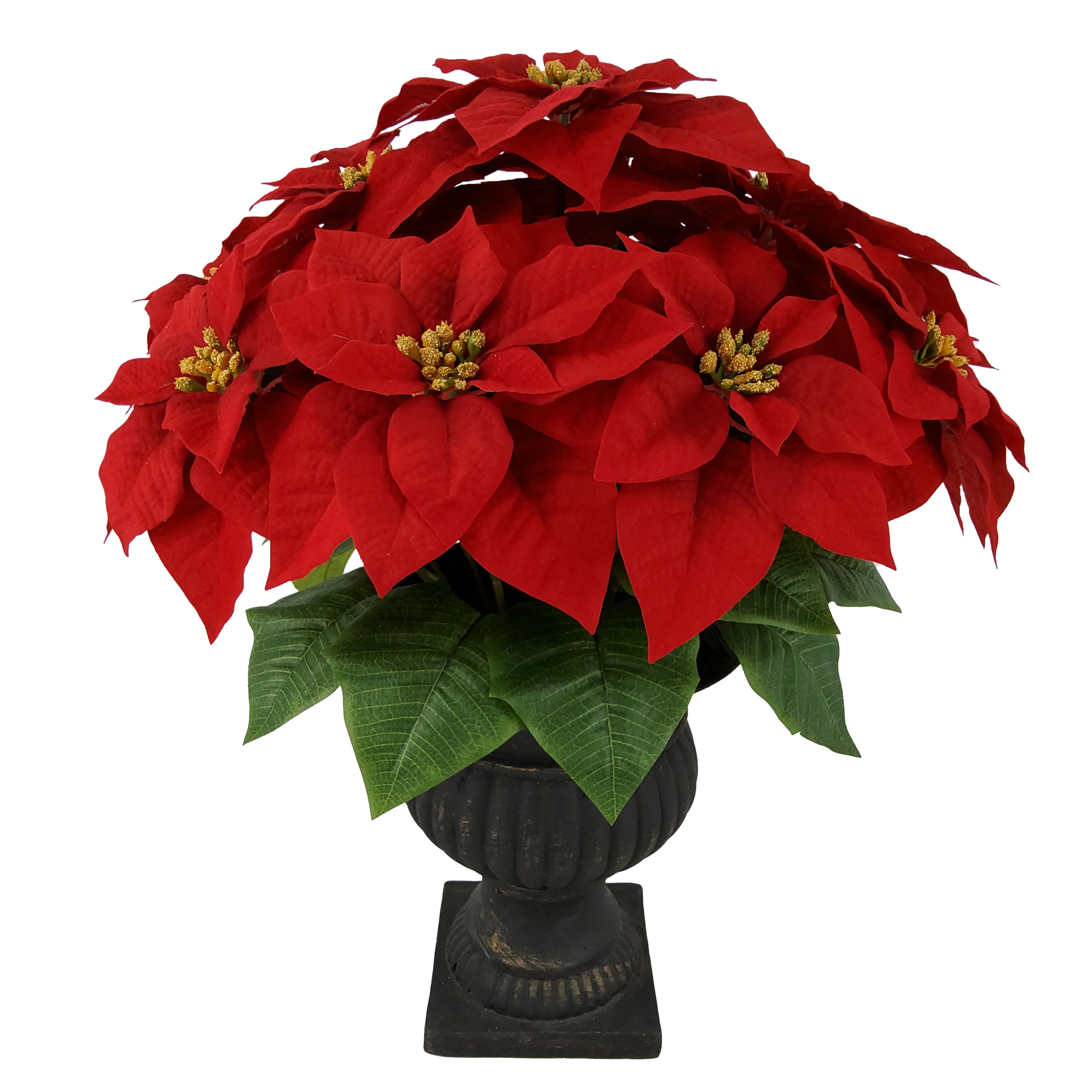 24&#x22; Bright Red Poinsettia in Black Urn by Ashland&#xAE;