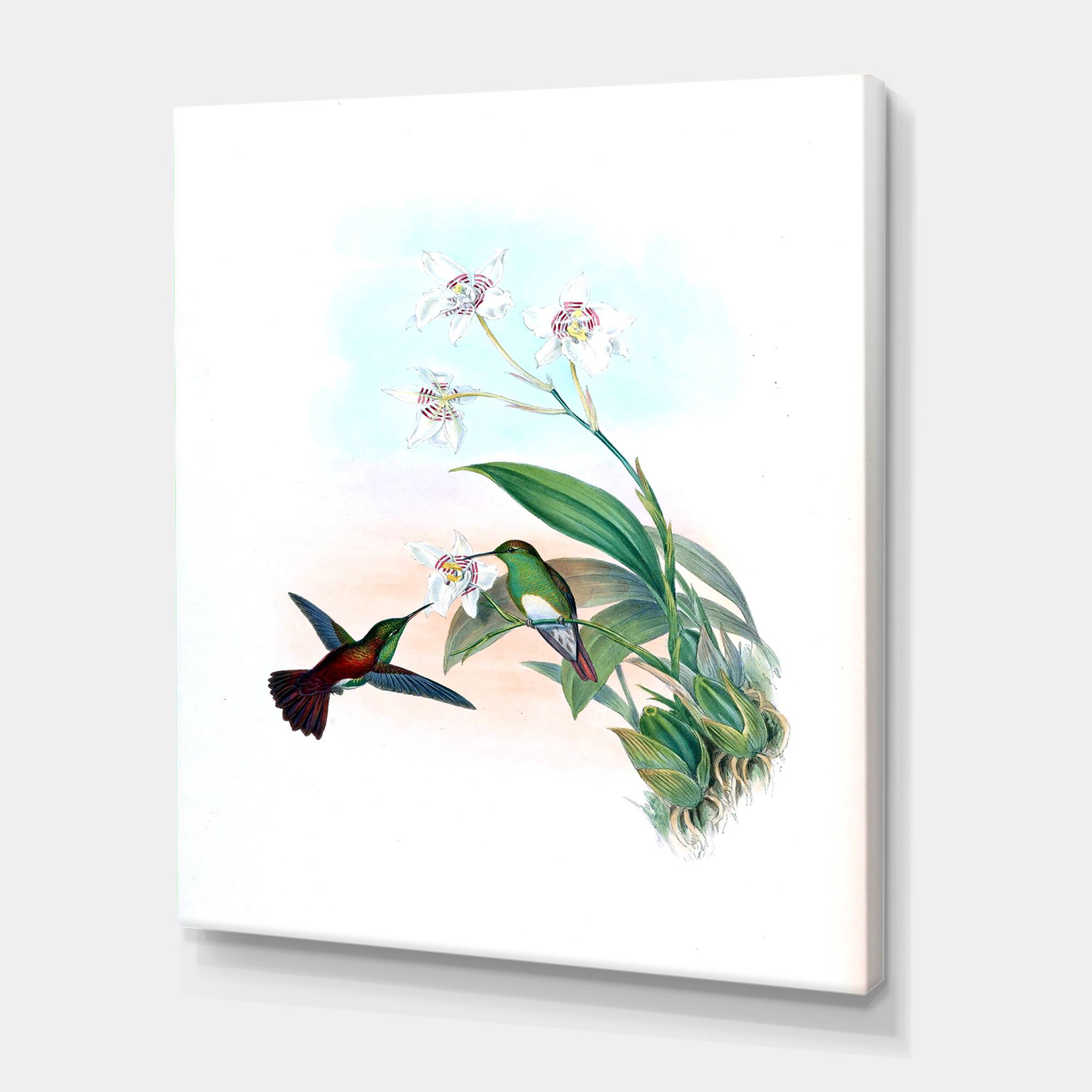 Designart - Vintage Hummingbird Flying To A Flower - Traditional Canvas Wall Art Print