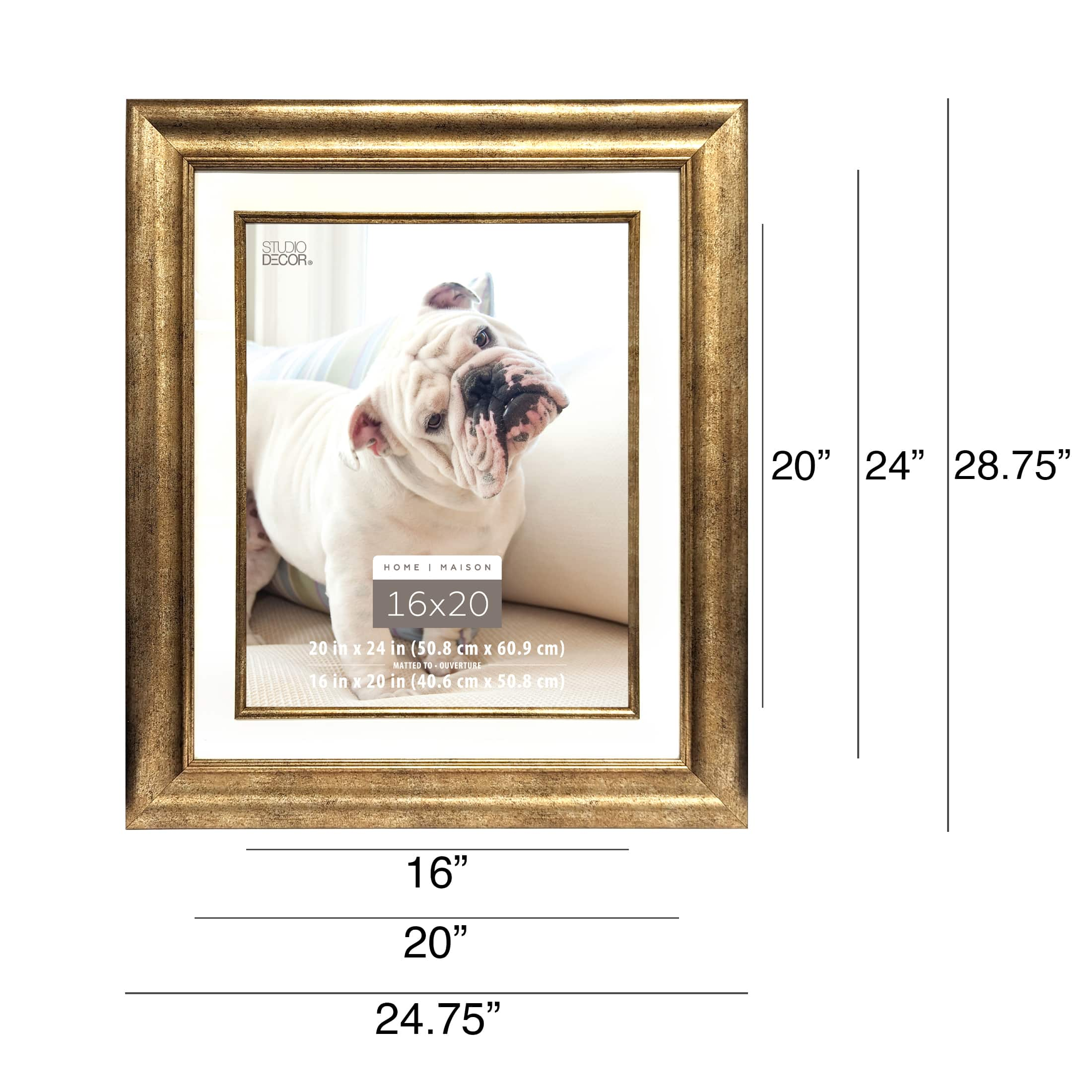 Champagne Frame, 20&#x22; x 24&#x22; With 16&#x22; x 20&#x22; Mat, Home Collection By Studio D&#xE9;cor&#xAE;