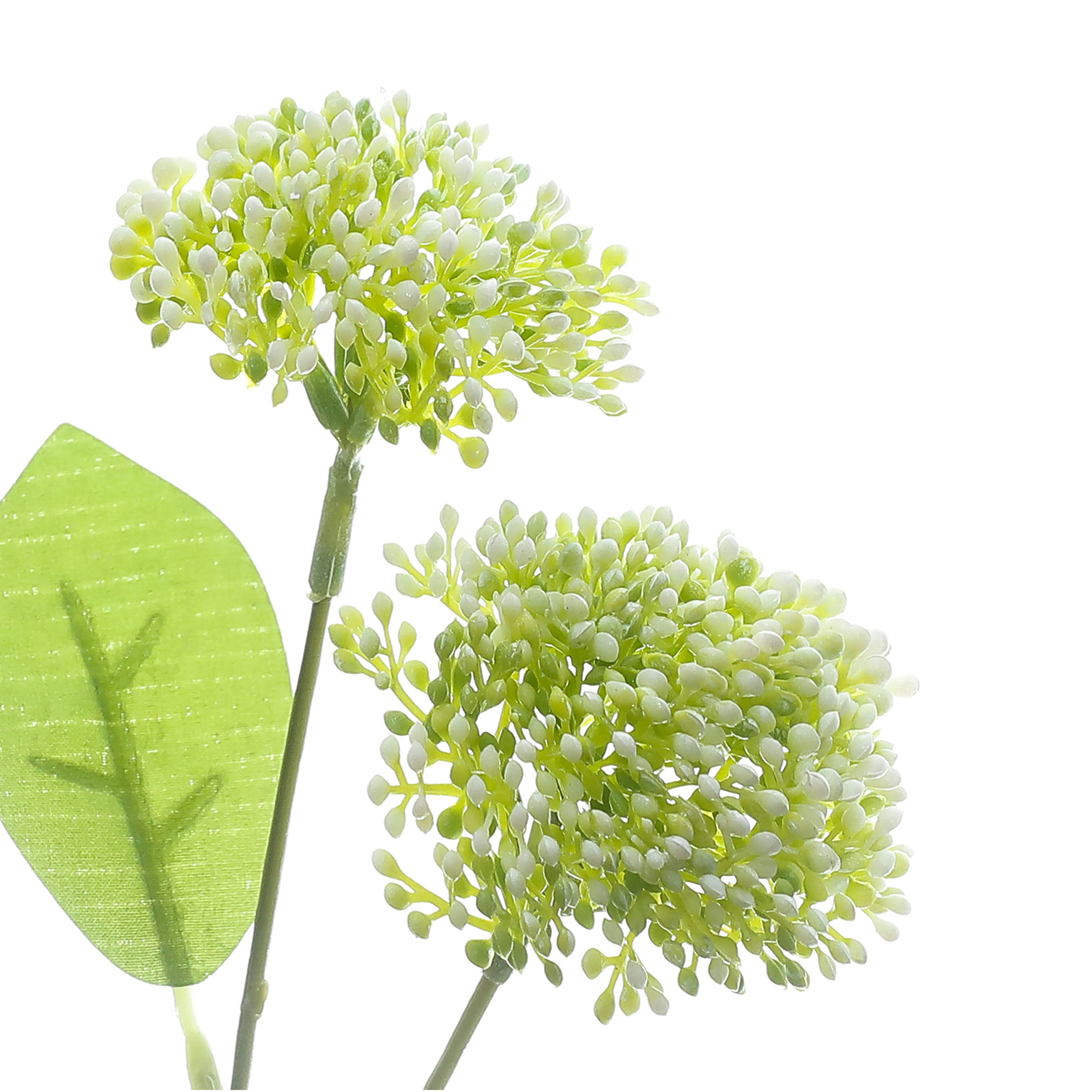 29.75" White Queen Anne's Lace Stem by Ashland®