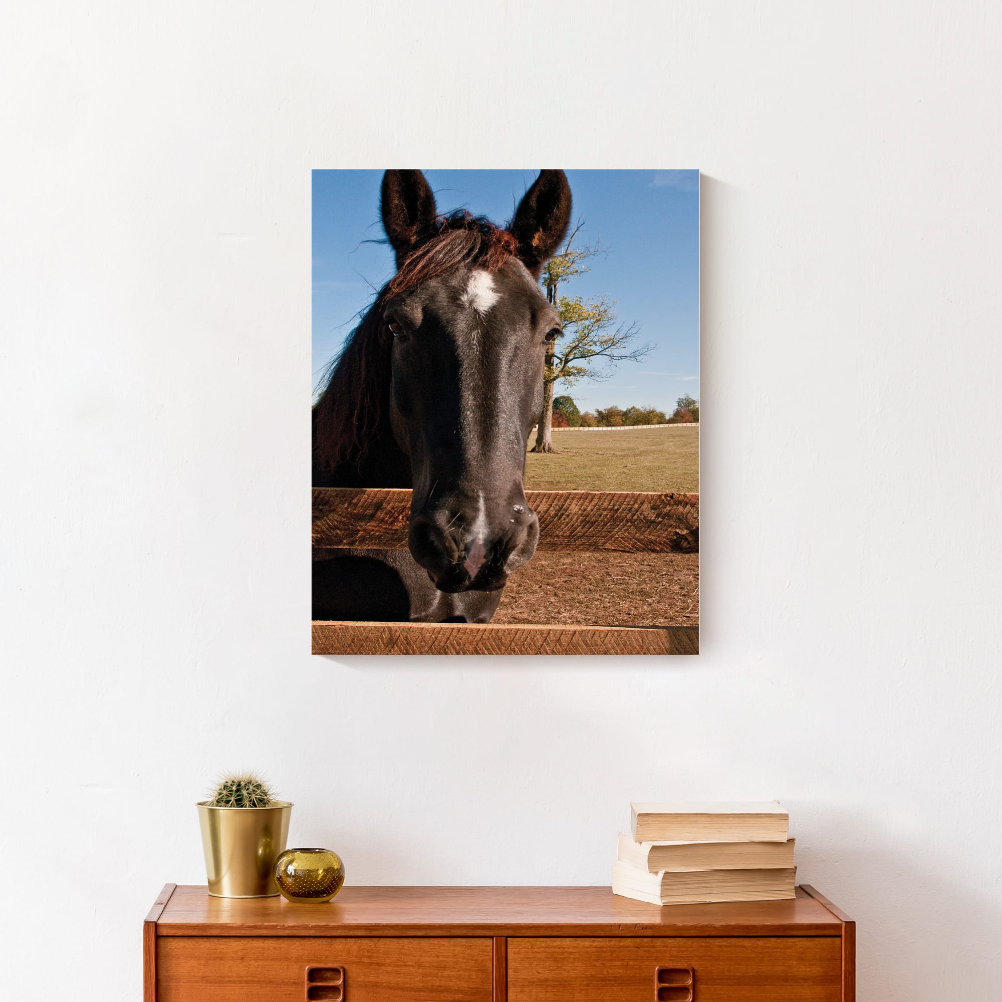 Horse Head 16" x 20" Canvas Wall Art