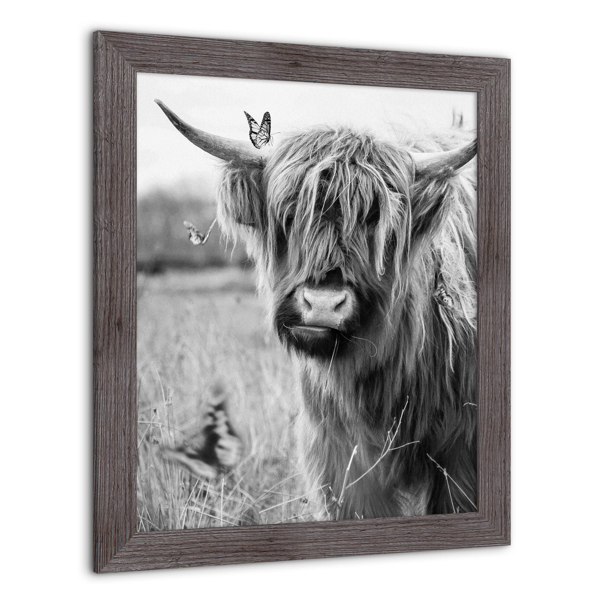 Black and White Highland Cow 20&#x22; x 24&#x22; Western Gray Framed Print