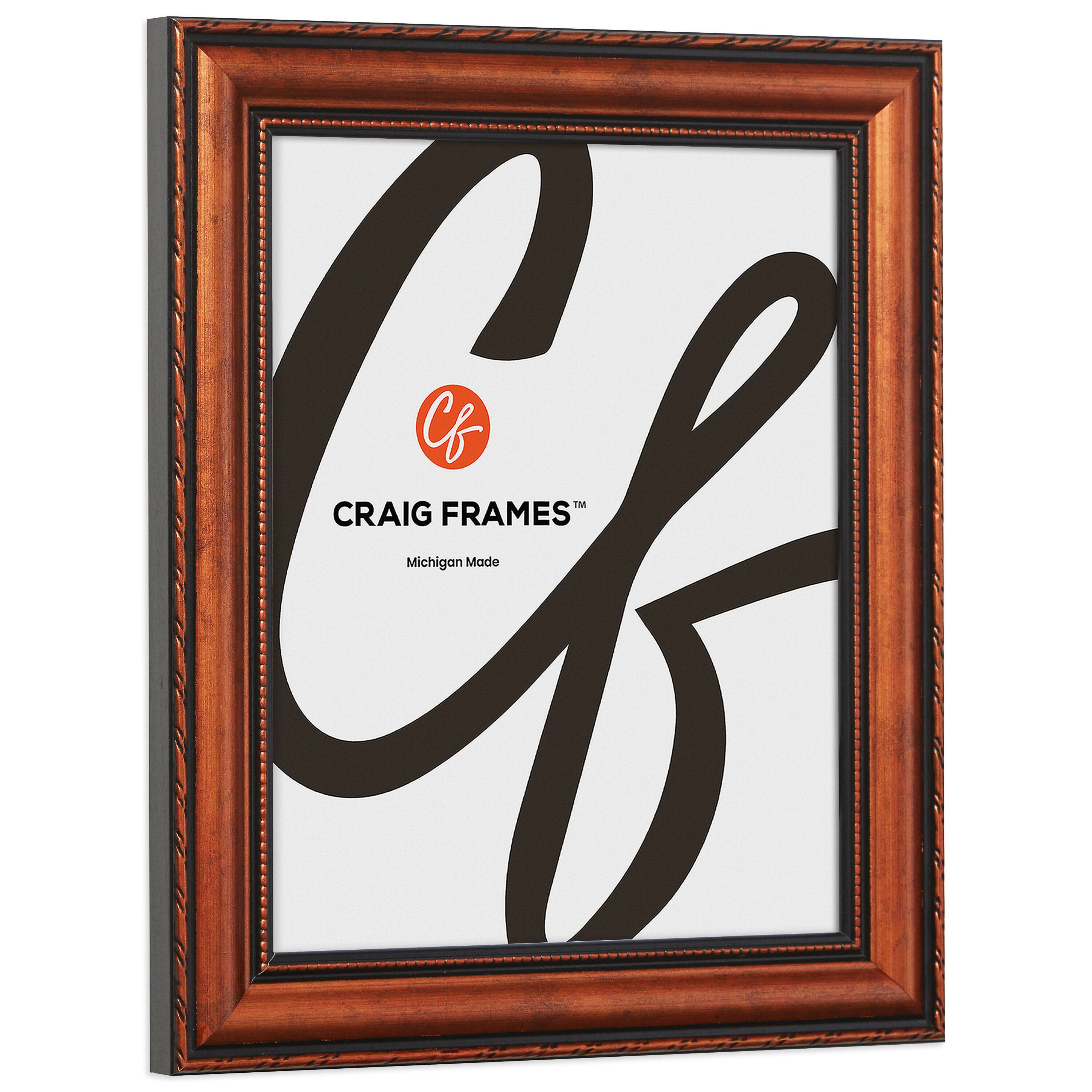 2 Pack Craig Frames Victoria Copper Picture Frame